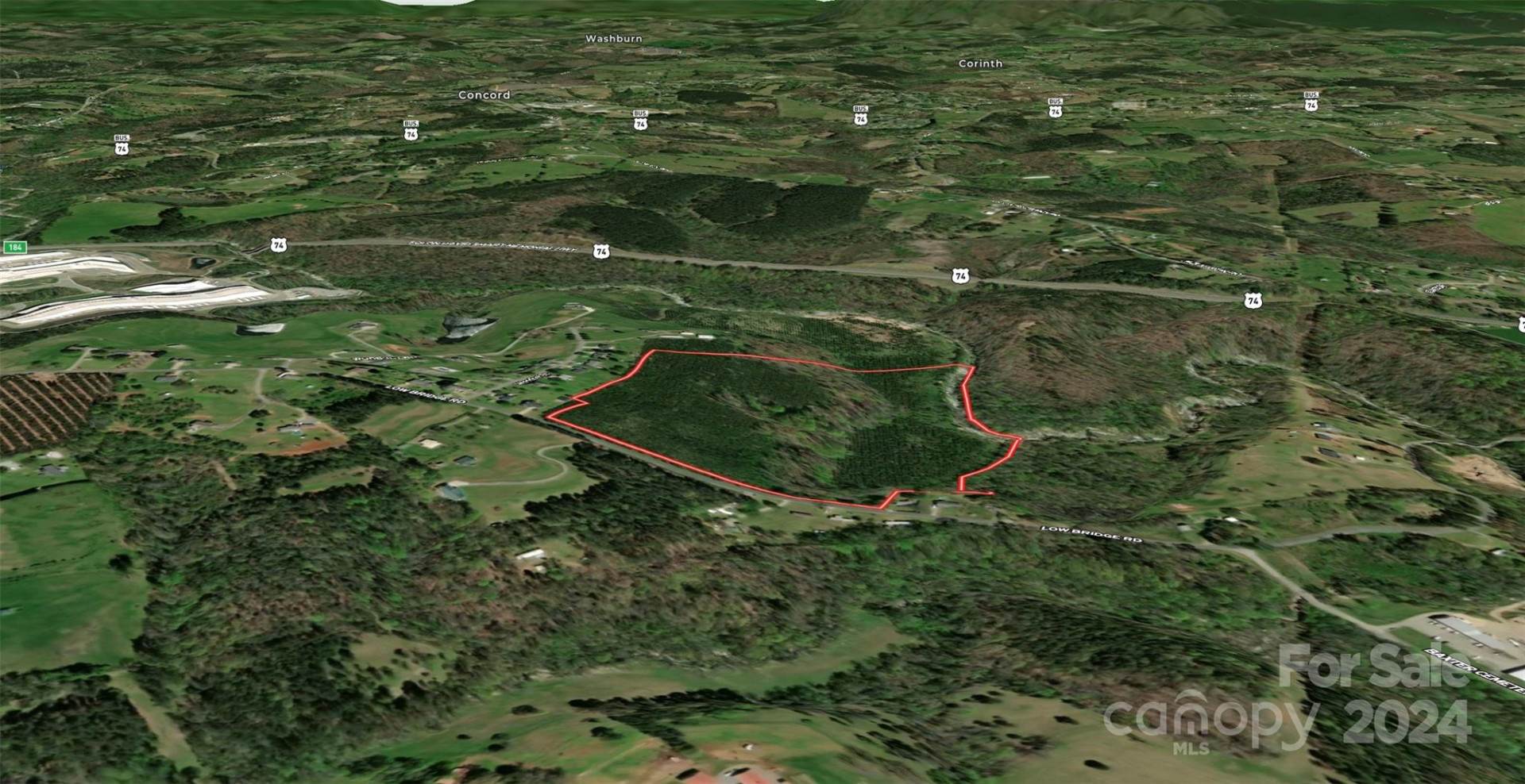 451 Low Bridge Road - Photo 10