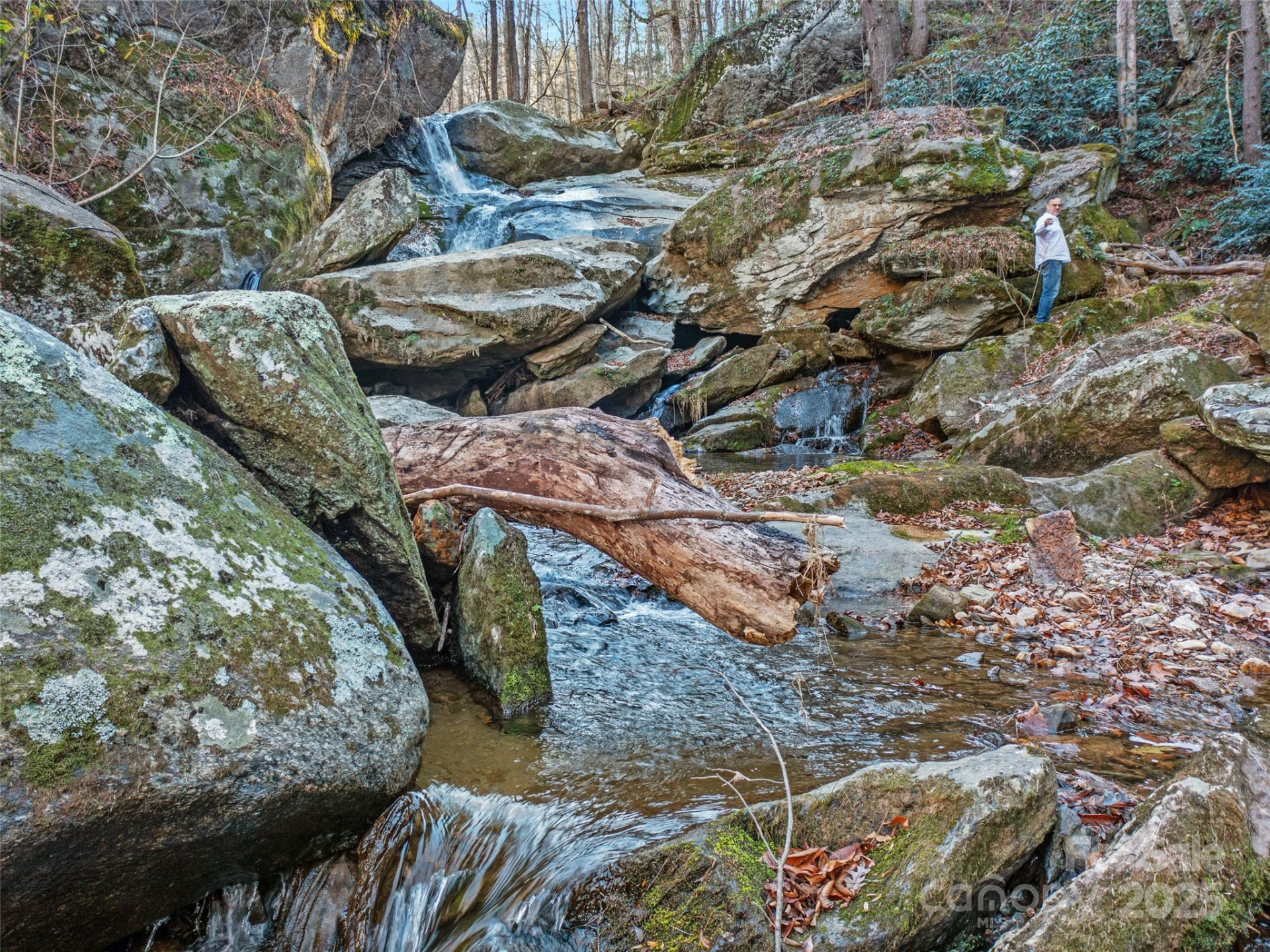 23 Katies Road #145.95 acres - Photo 39