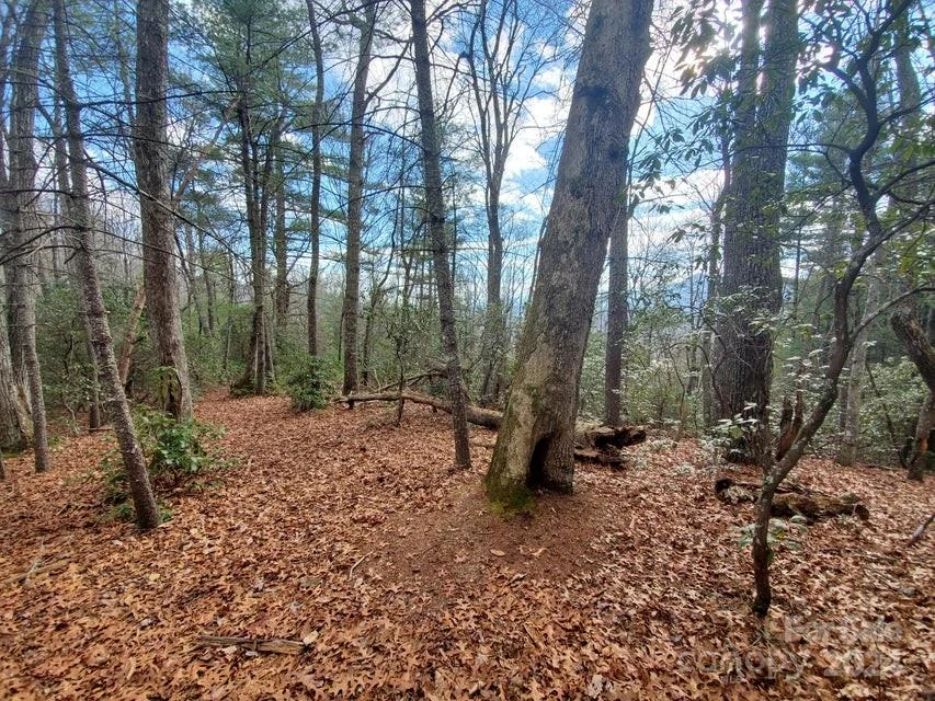 TBD Elkins Road #22 - Photo 3