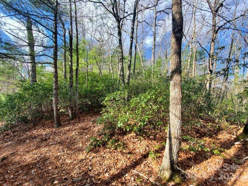 TBD Elkins Road #22 - Photo 6