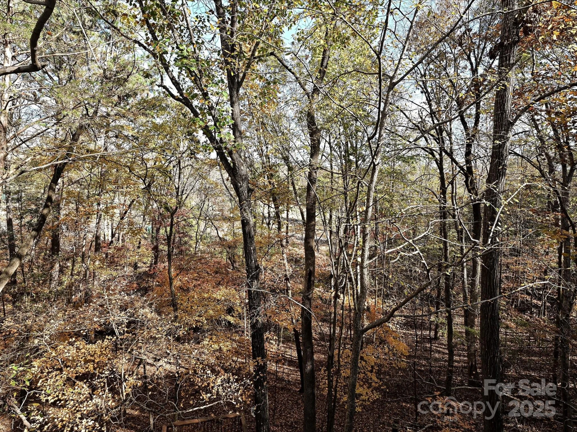 25040 Timberlake Drive - Photo 20