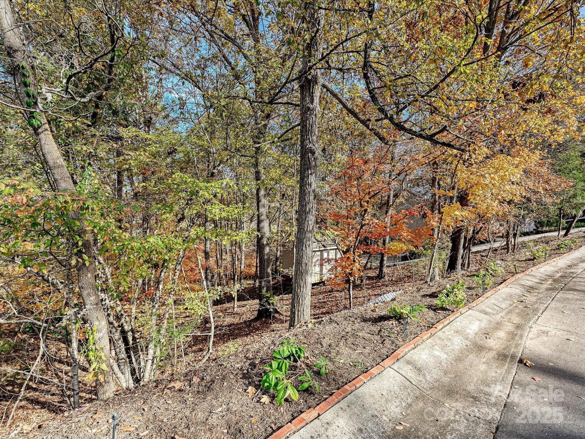 25040 Timberlake Drive - Photo 39