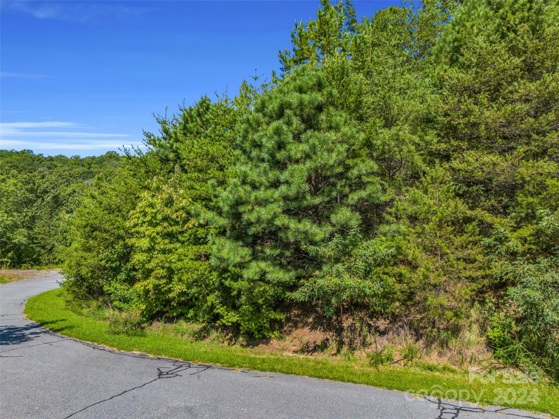 0 Holmstead Drive #Lot 31 - Photo 25