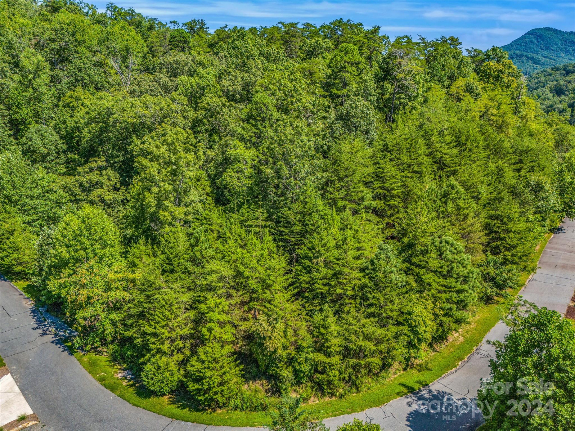 0 Holmstead Drive #Lot 31 - Photo 26