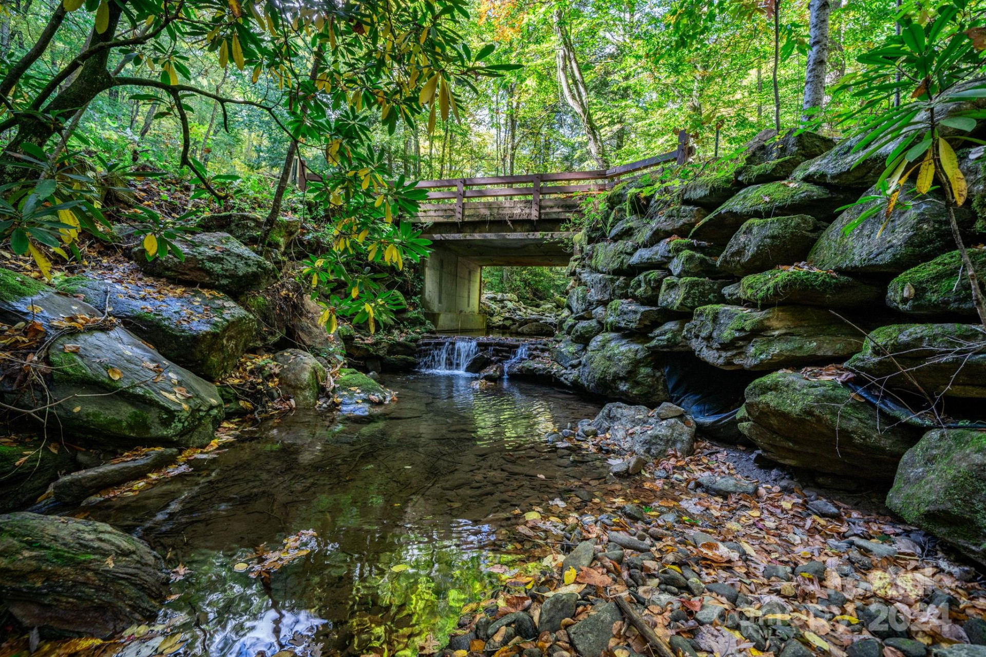 26 Wedgewood Terrace - Photo 11