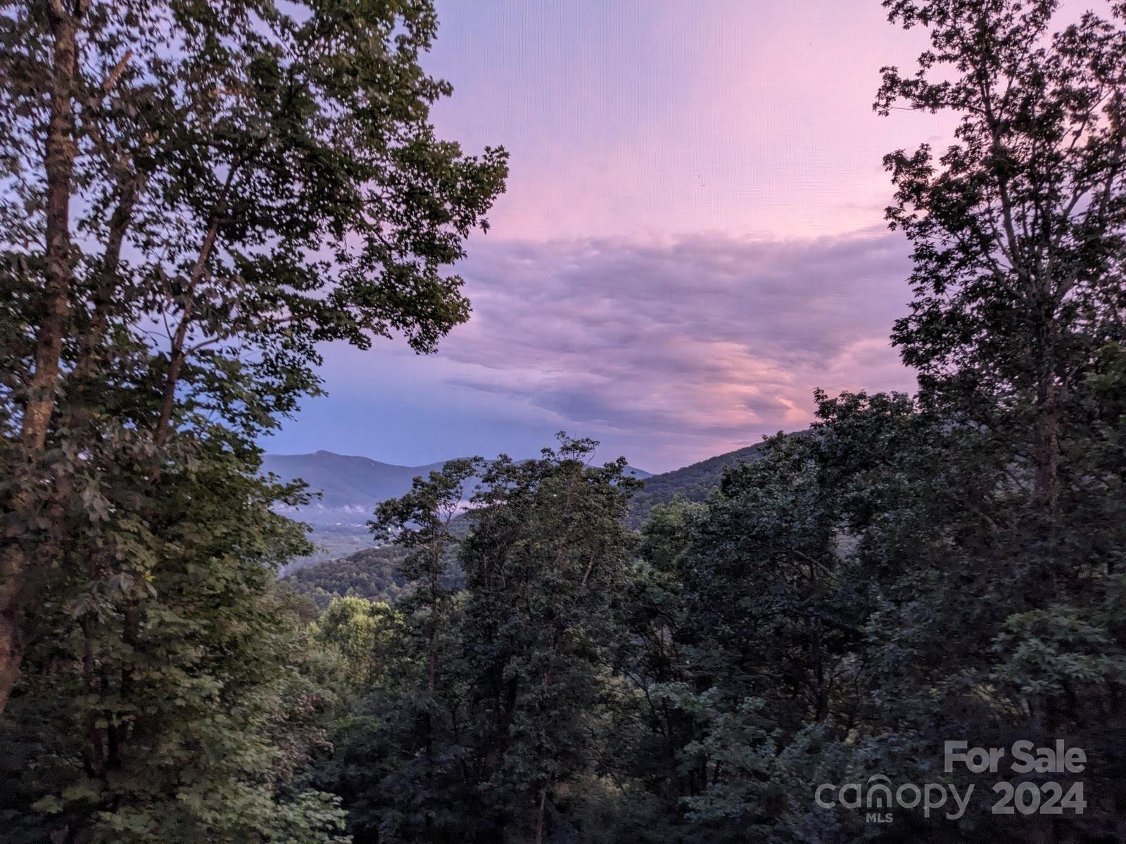 26 Wedgewood Terrace - Photo 14