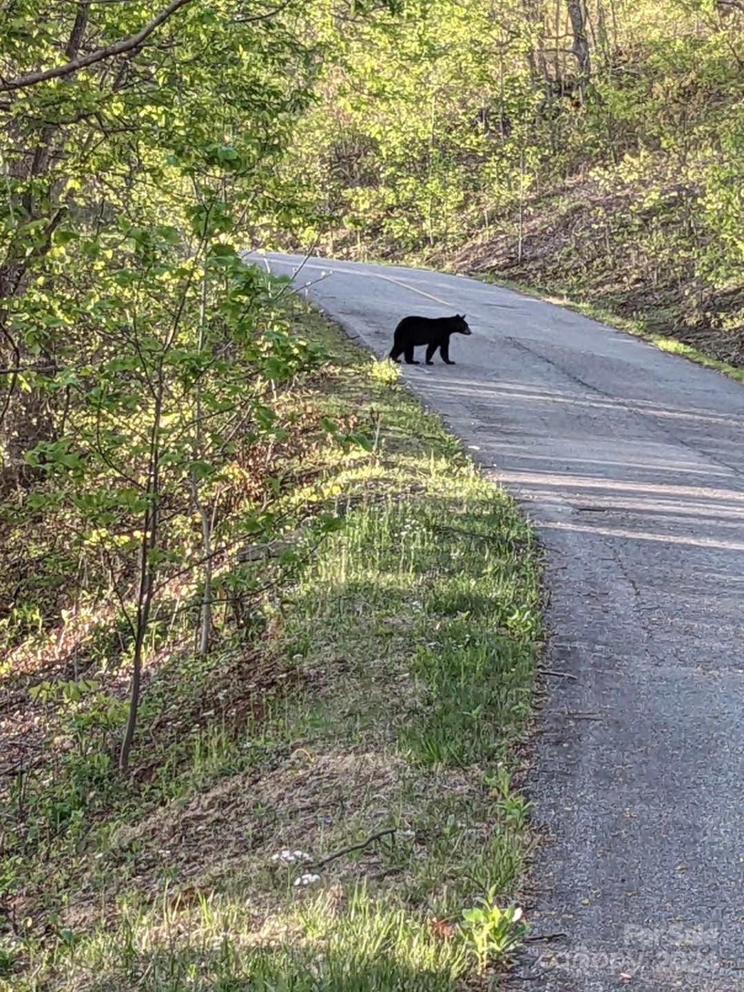 26 Wedgewood Terrace - Photo 16