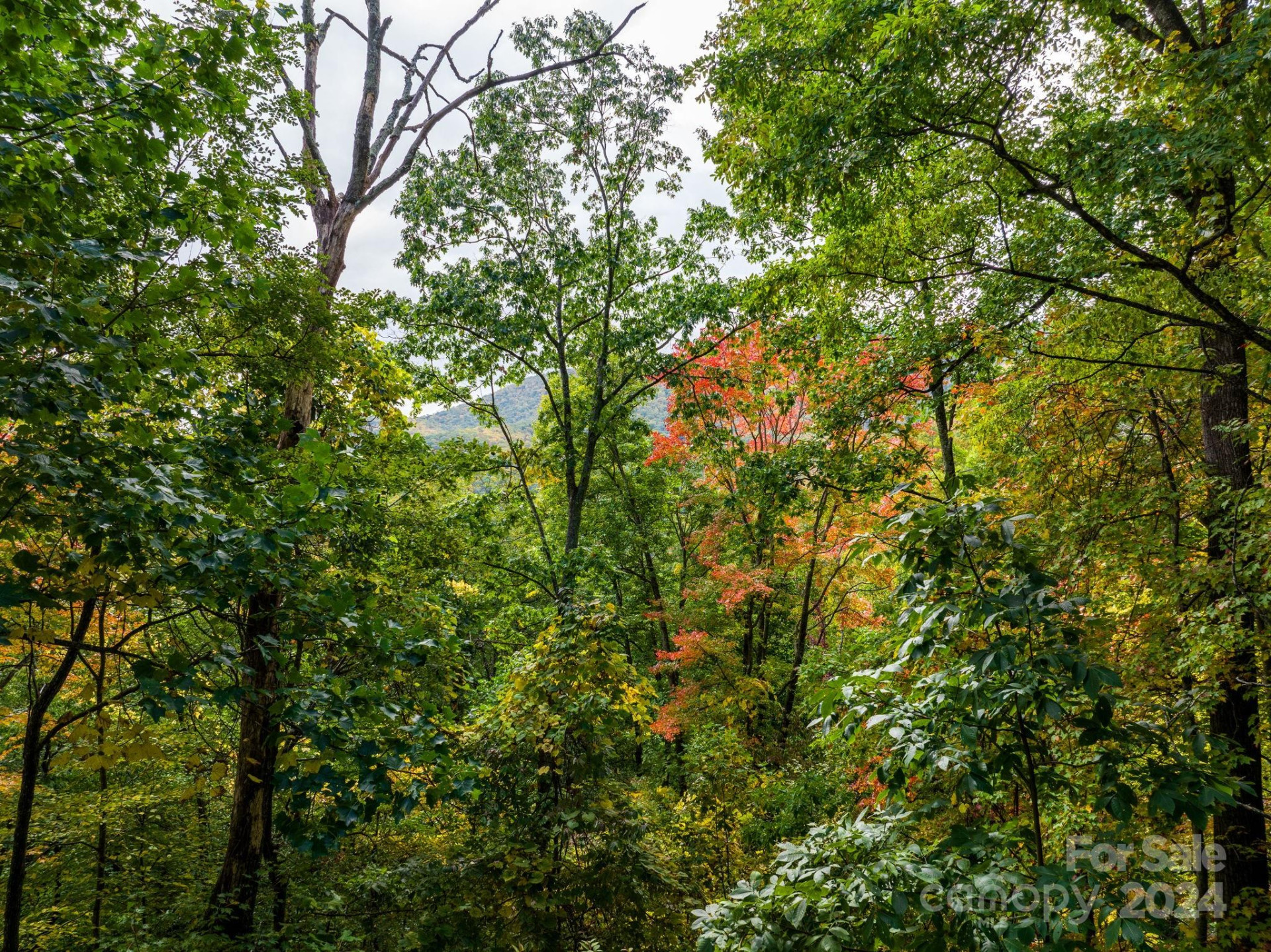 26 Wedgewood Terrace - Photo 4