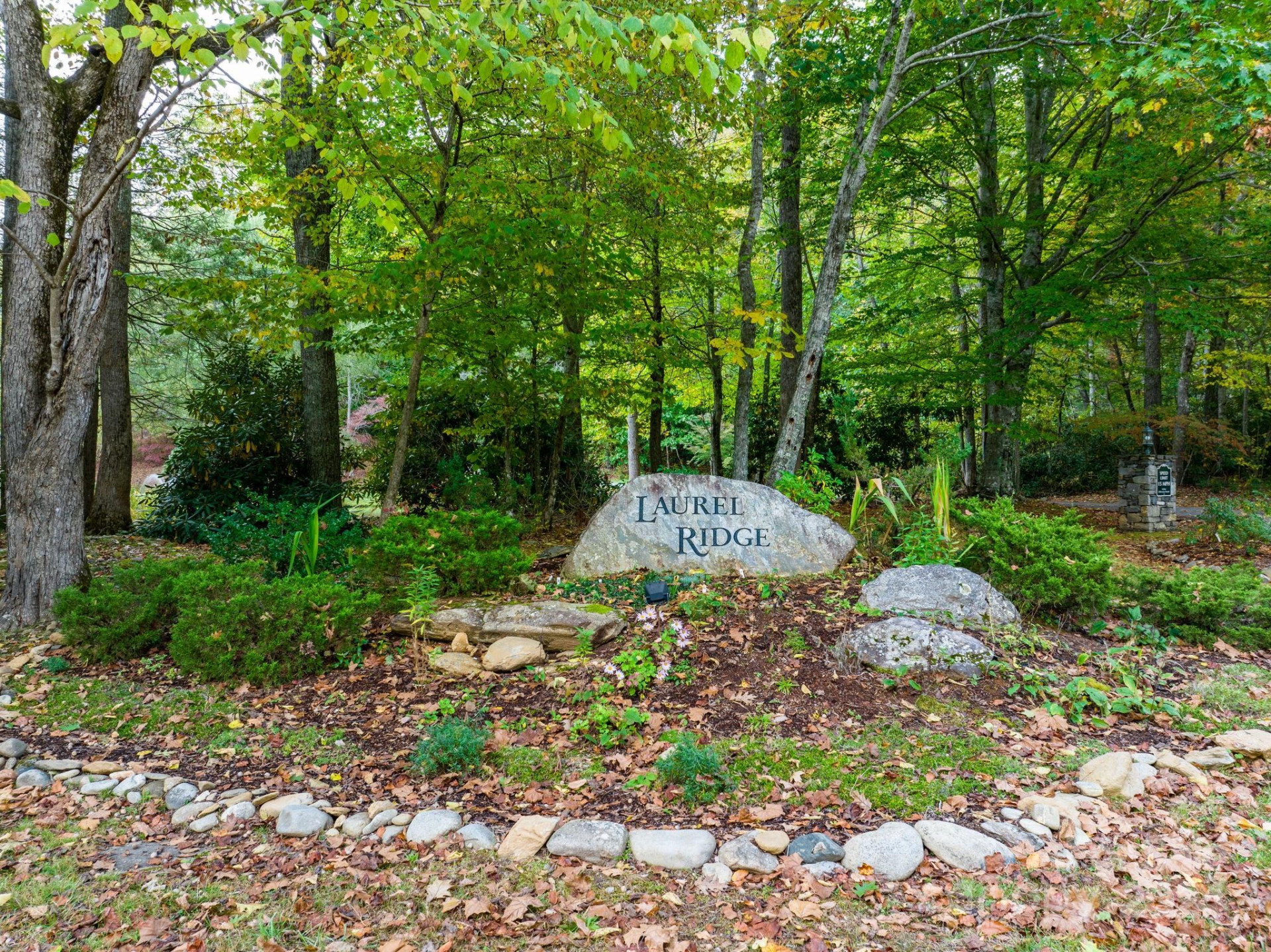 26 Wedgewood Terrace - Photo 5