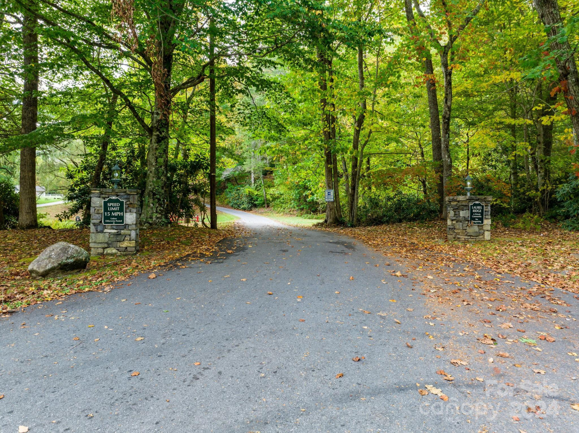 26 Wedgewood Terrace - Photo 6