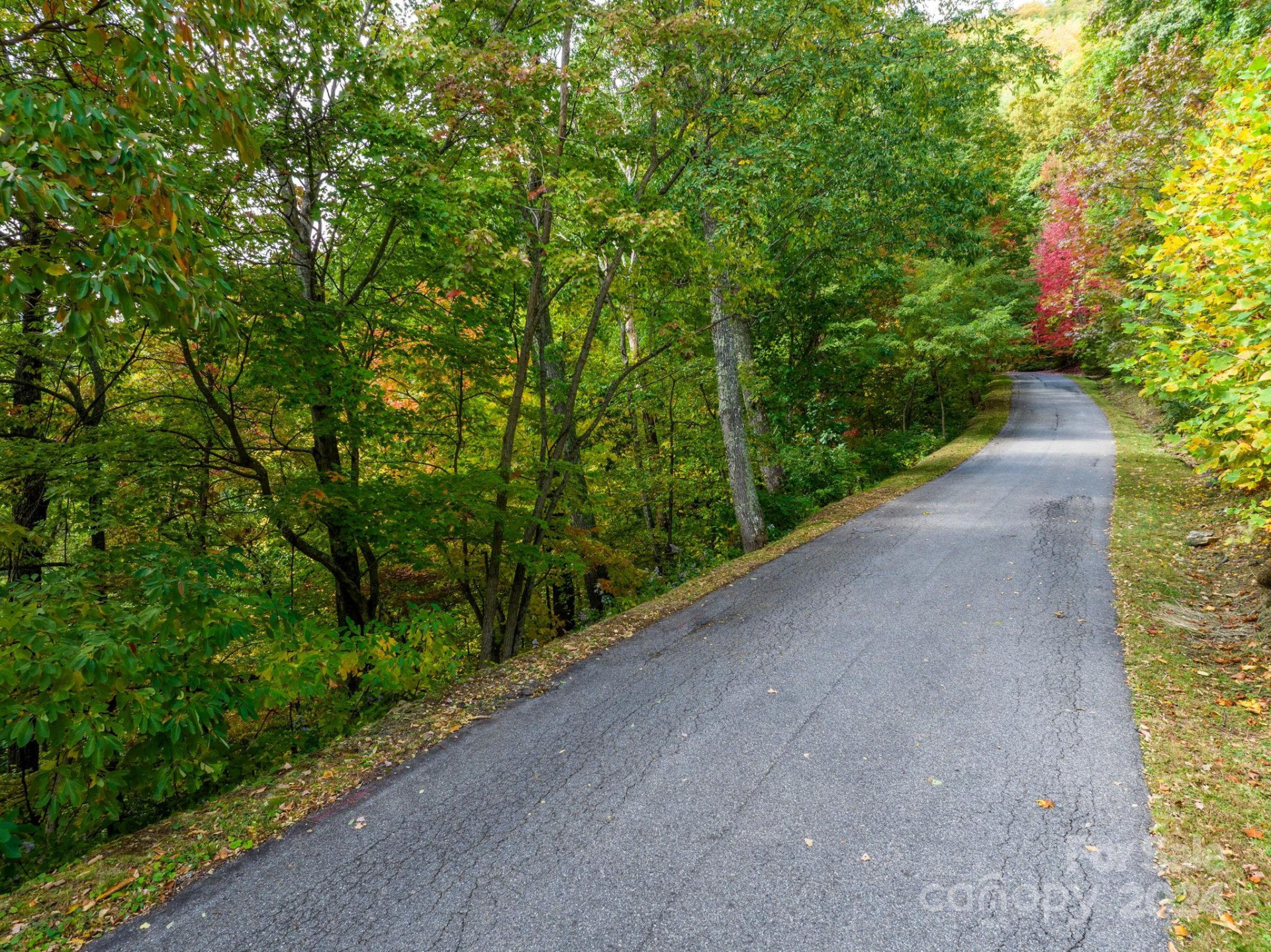26 Wedgewood Terrace - Photo 10