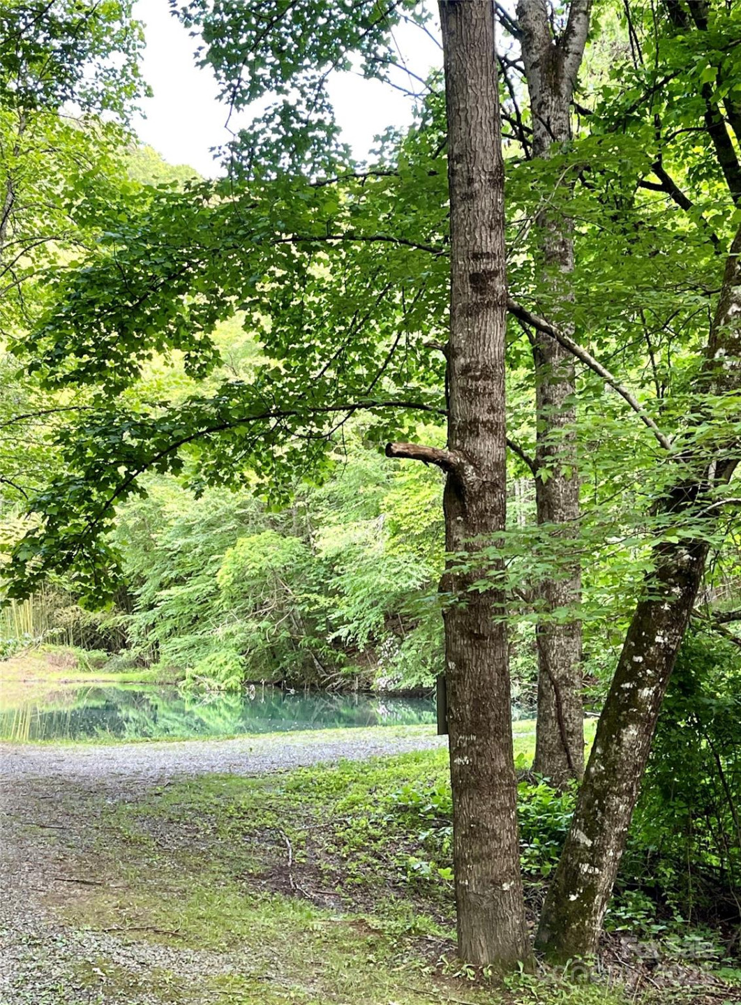 180 Valley Lane - Photo 33