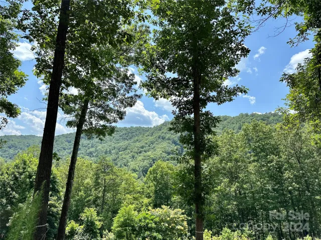 4110 French Broad Parkway