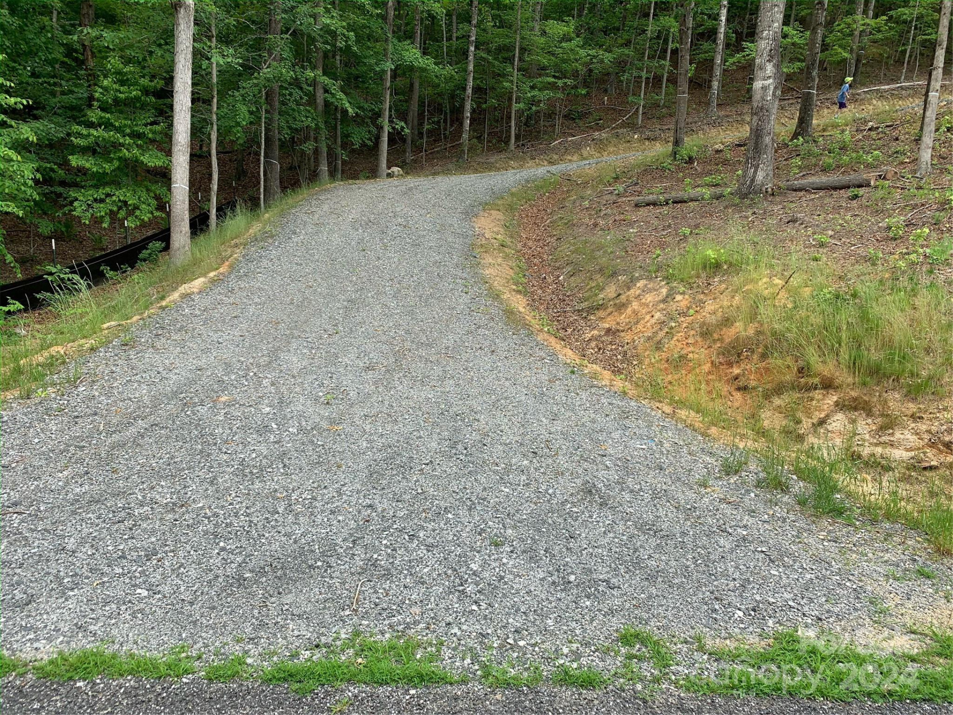 4110 French Broad Parkway #55 - Photo 3