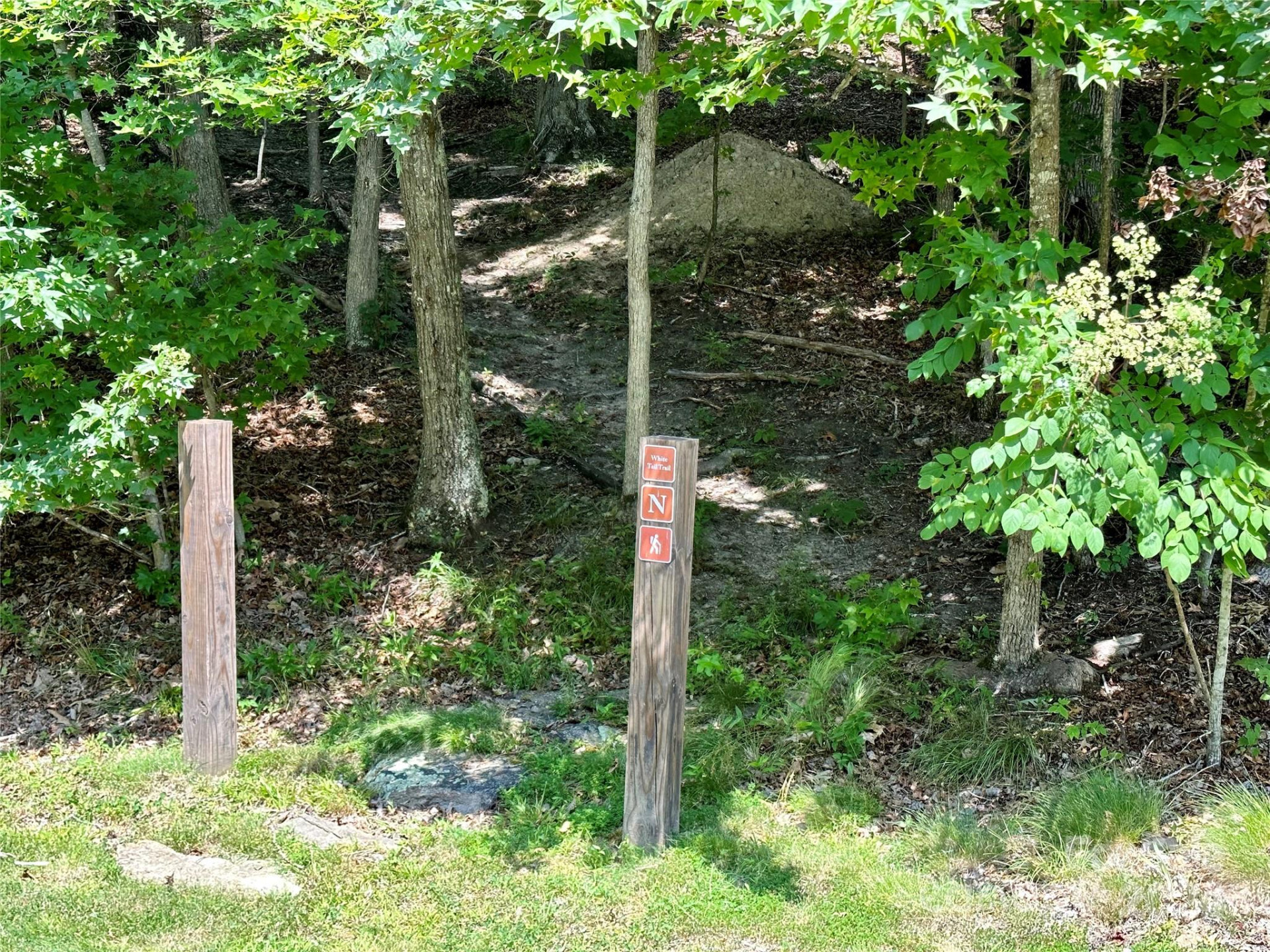 4110 French Broad Parkway #55 - Photo 28