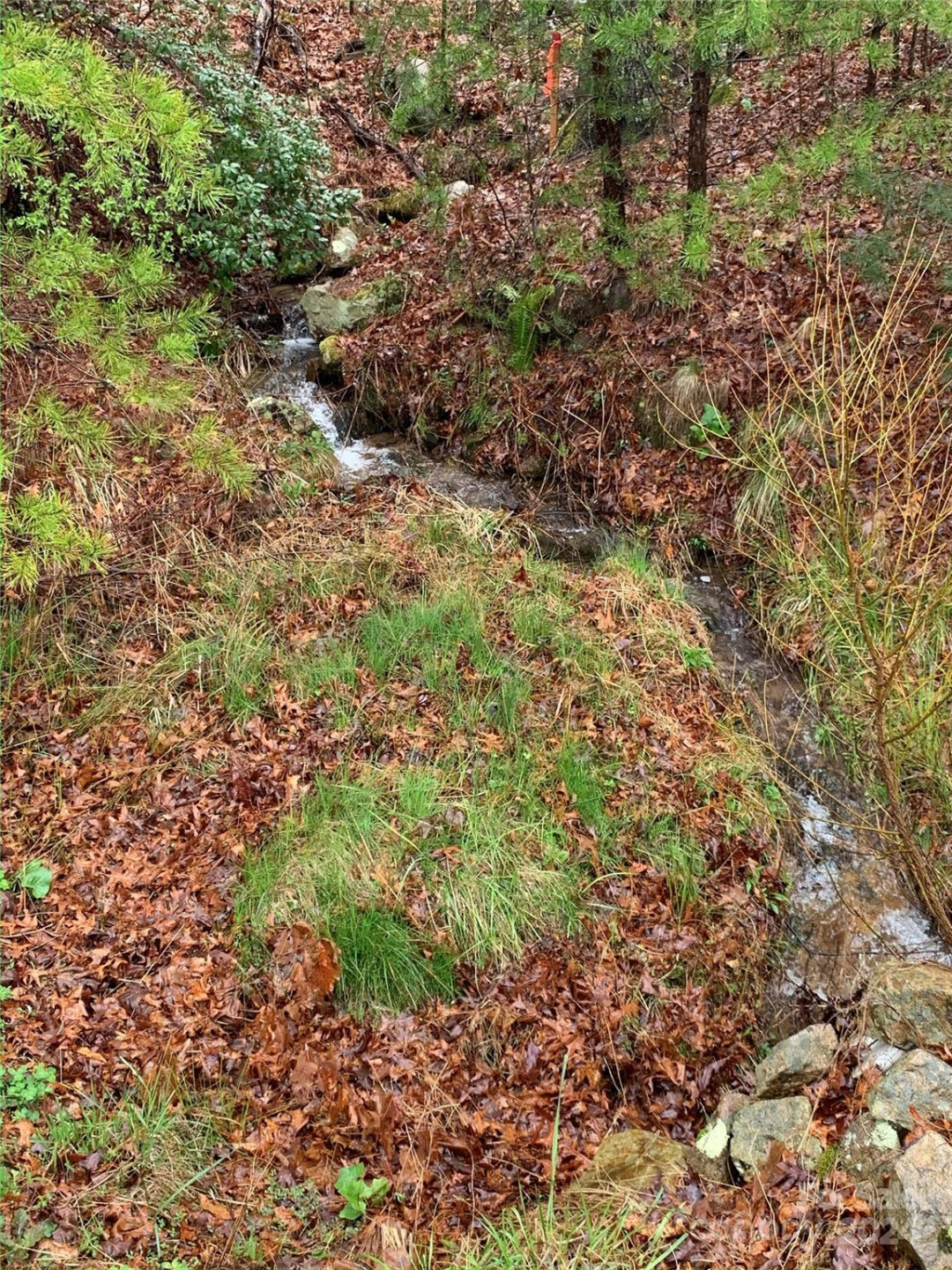 4110 French Broad Parkway #55 - Photo 4