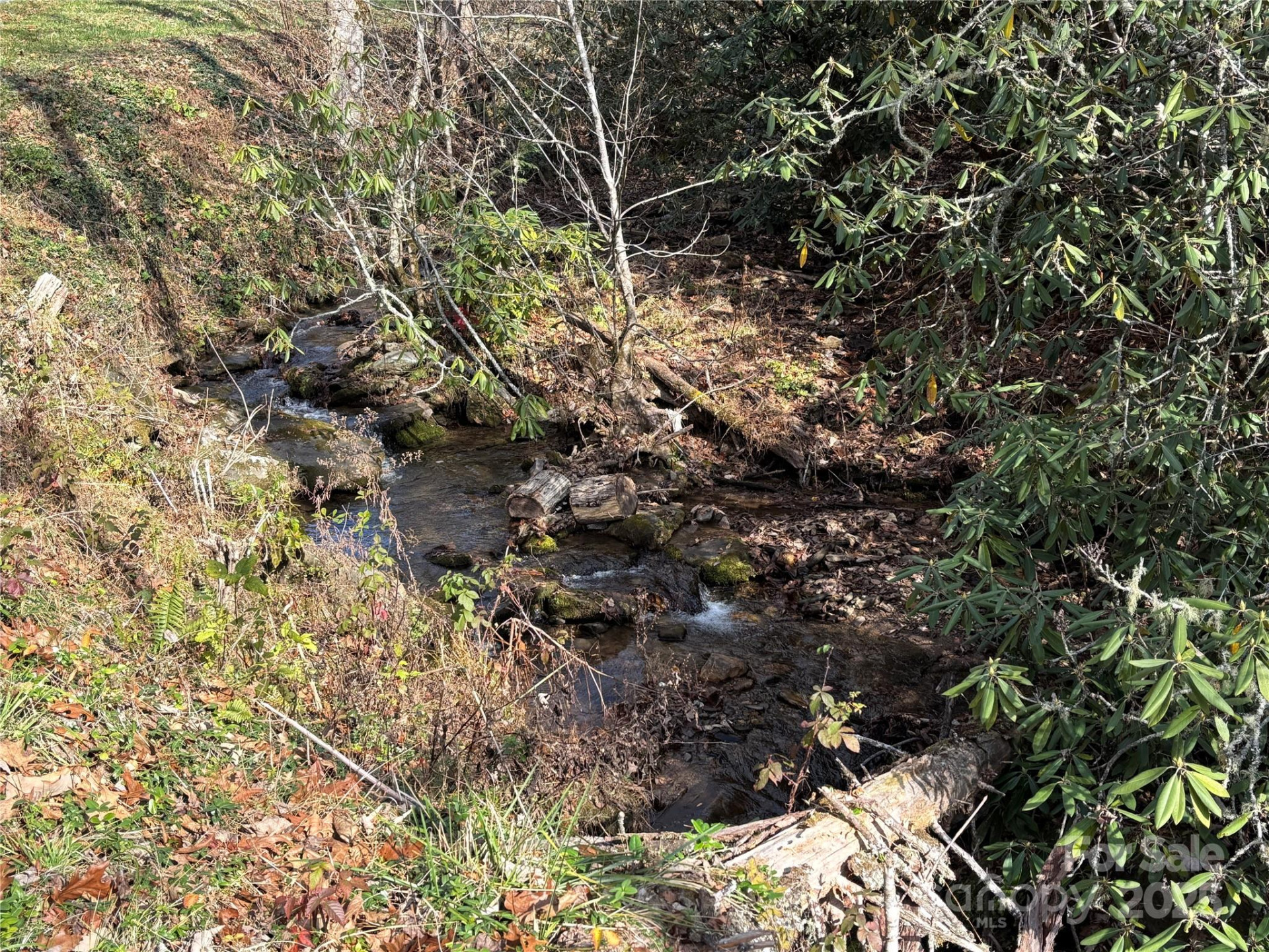 OFF Houston Farm Road - Photo 2