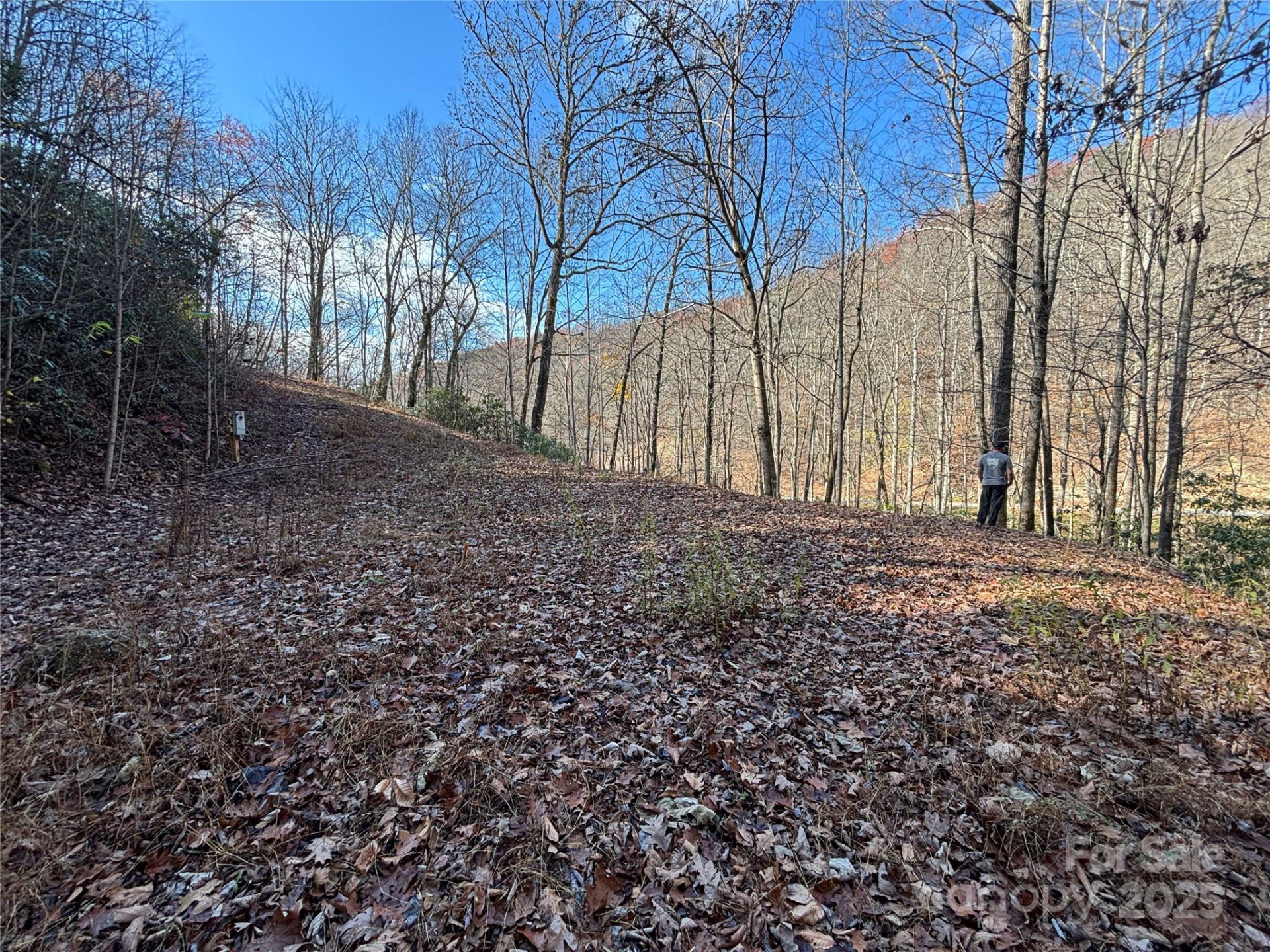 OFF Houston Farm Road - Photo 11