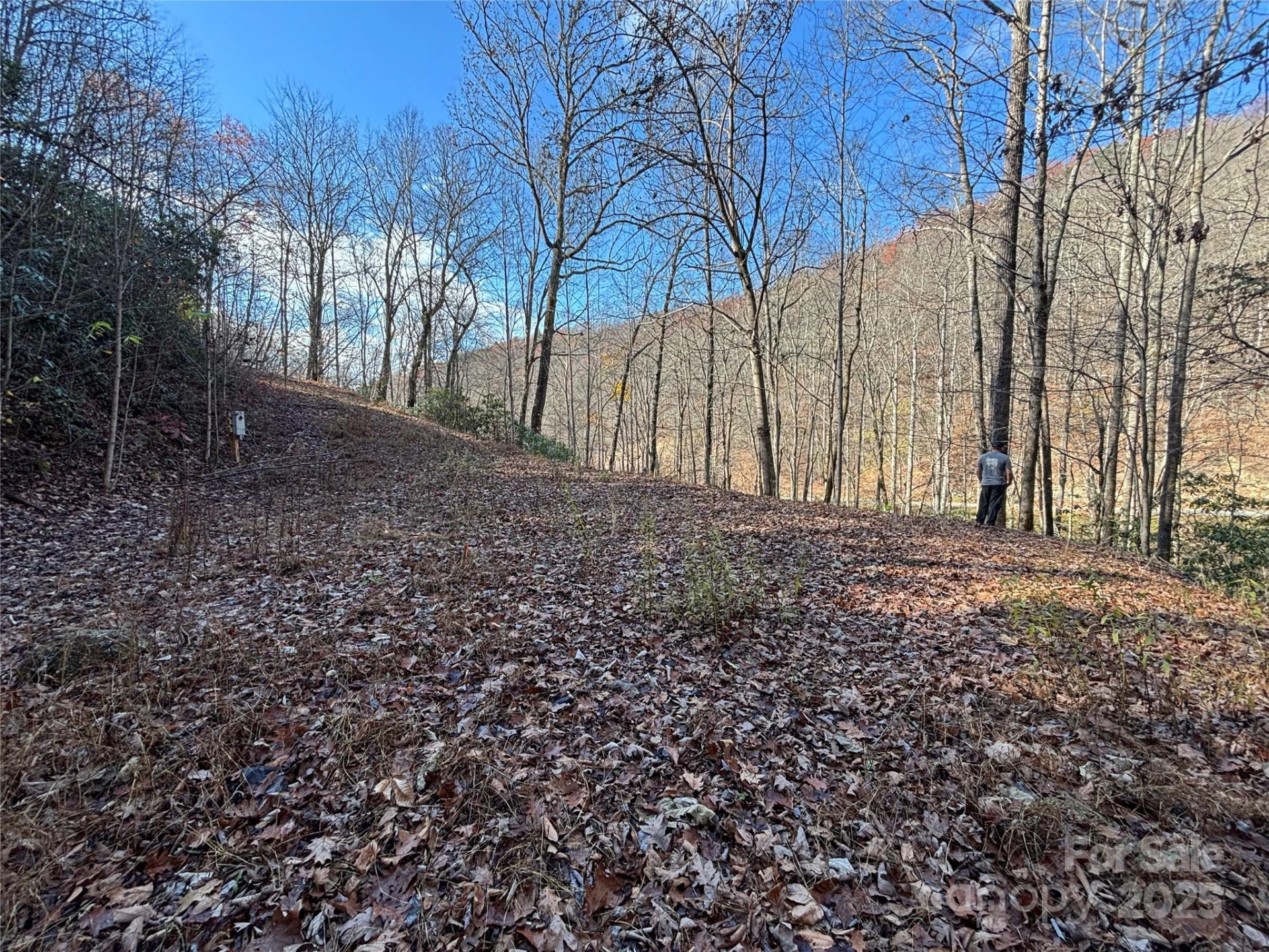 OFF Houston Farm Road - Photo 11