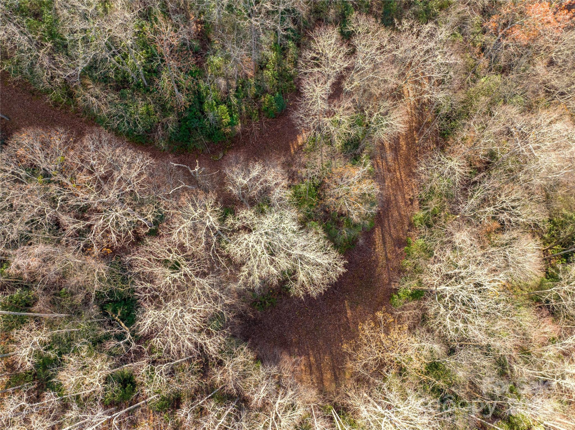 OFF Houston Farm Road - Photo 13