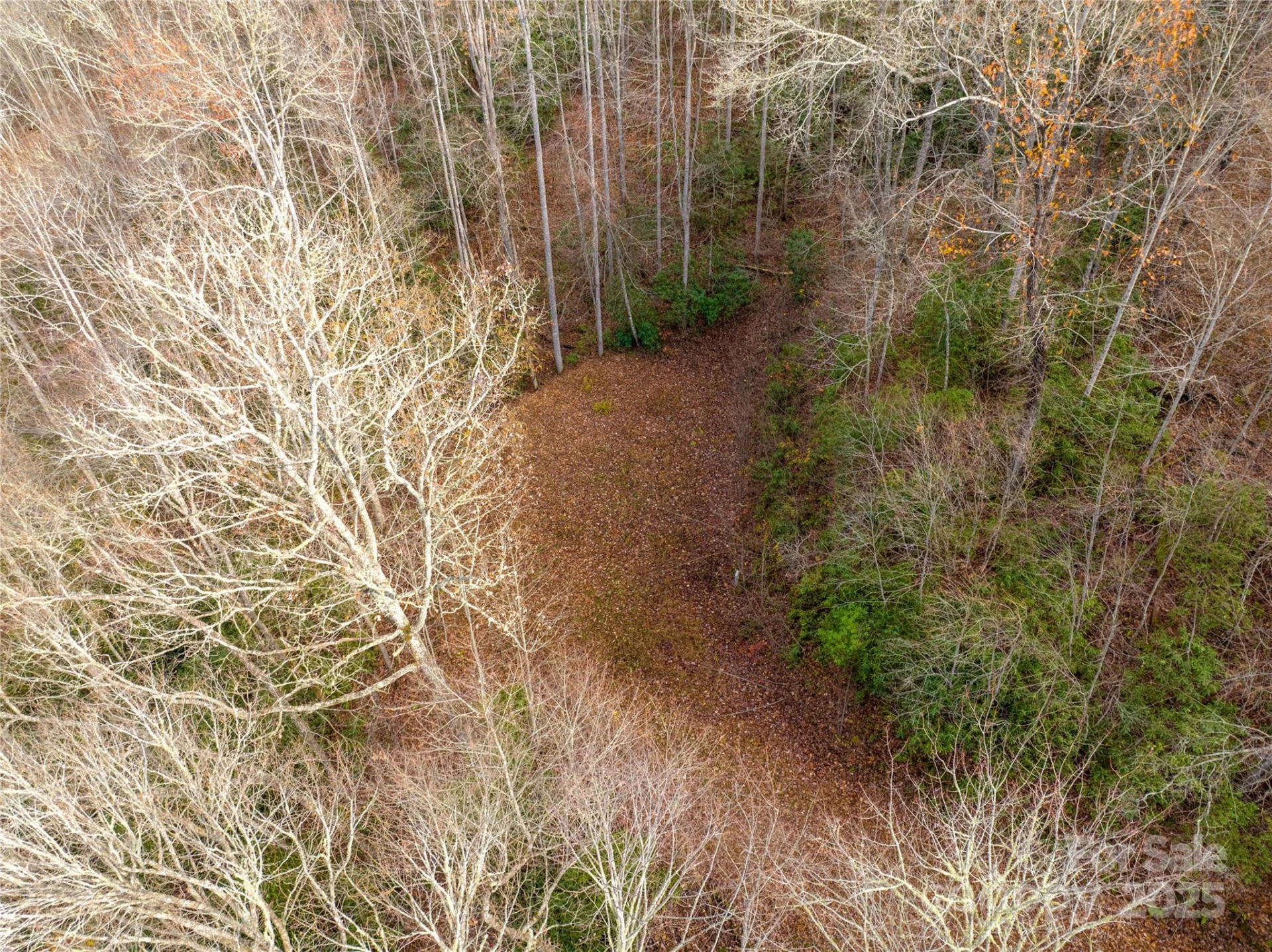 OFF Houston Farm Road - Photo 3