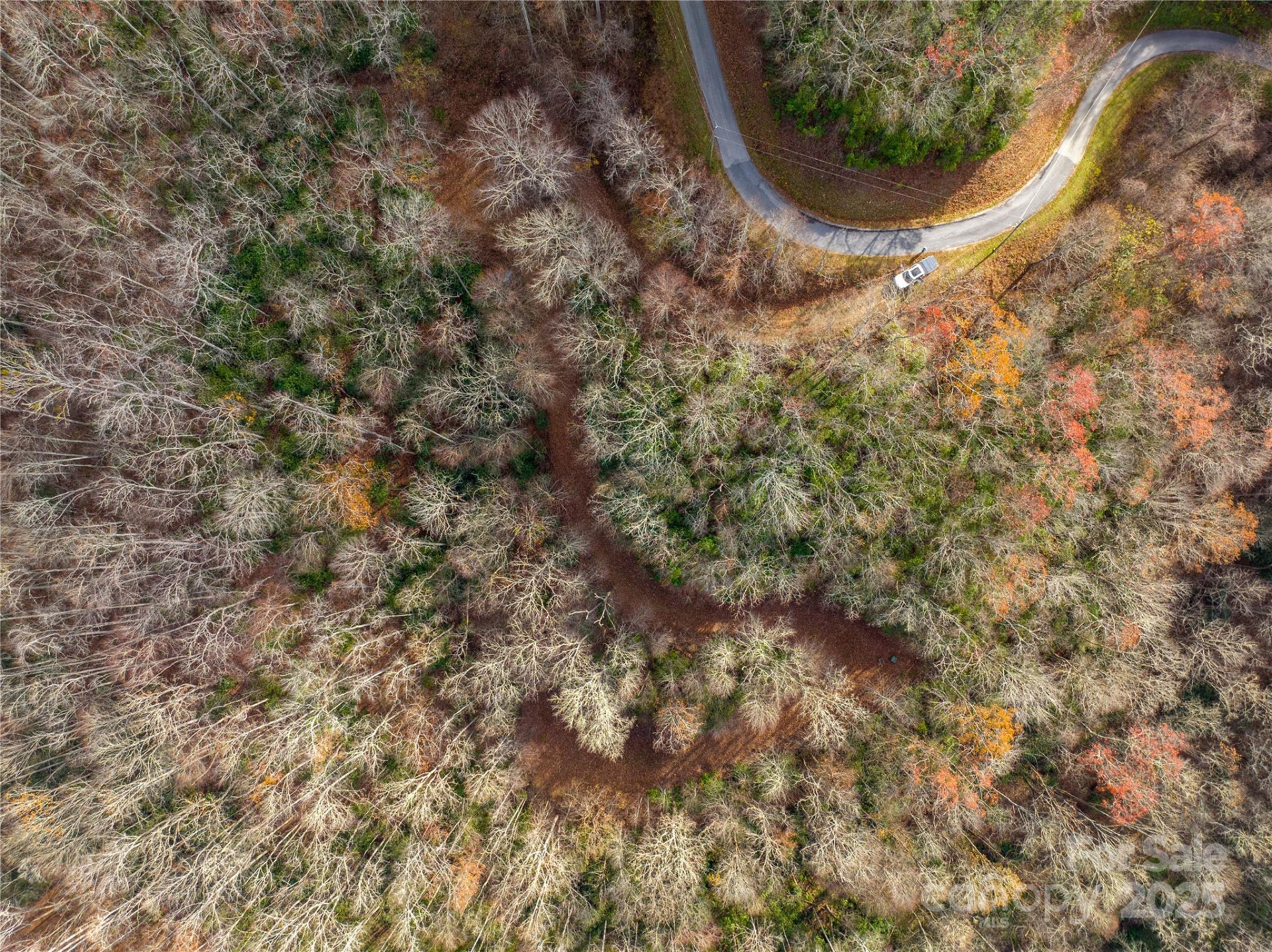 OFF Houston Farm Road - Photo 5