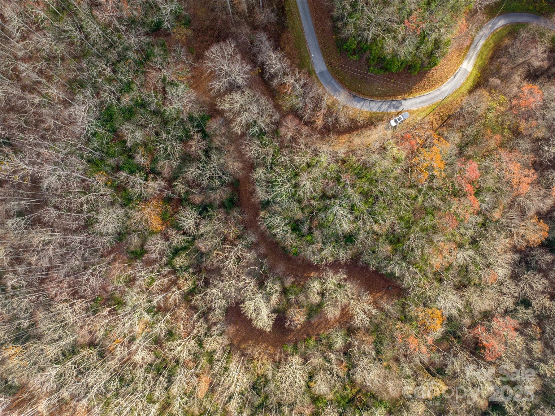 OFF Houston Farm Road - Photo 5