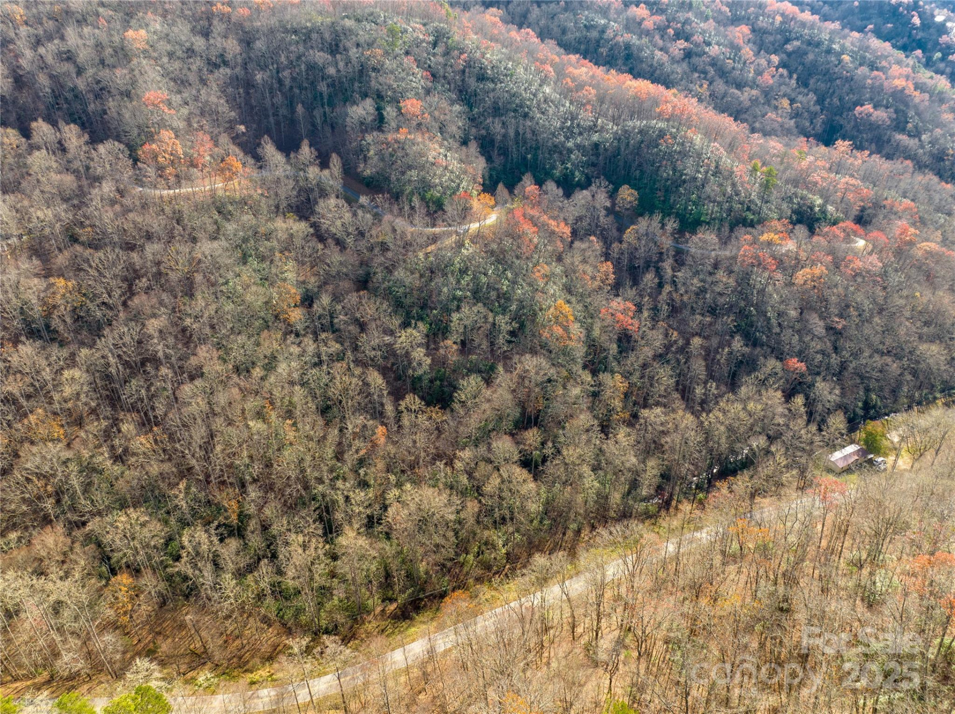 OFF Houston Farm Road - Photo 6