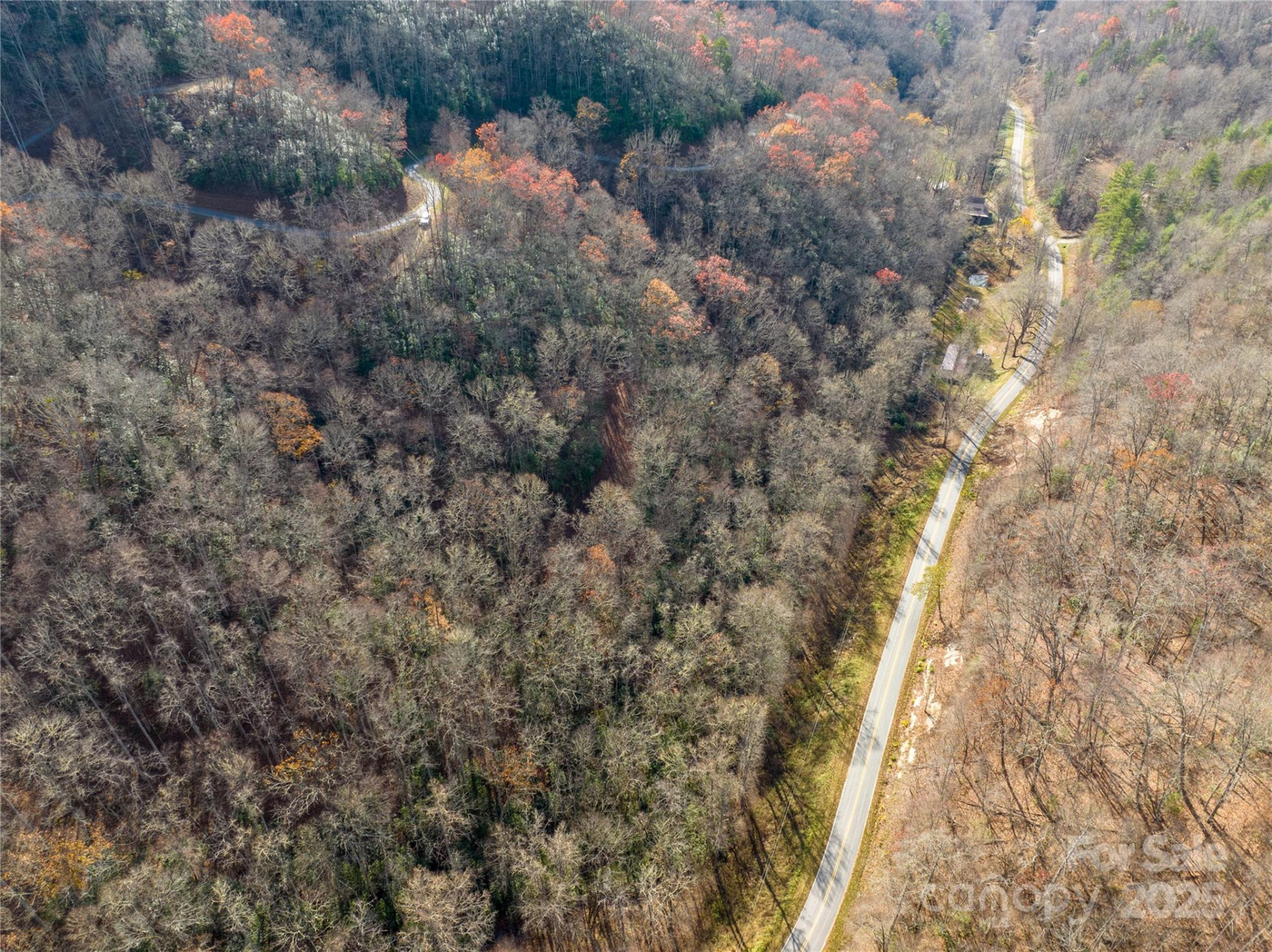 OFF Houston Farm Road - Photo 7