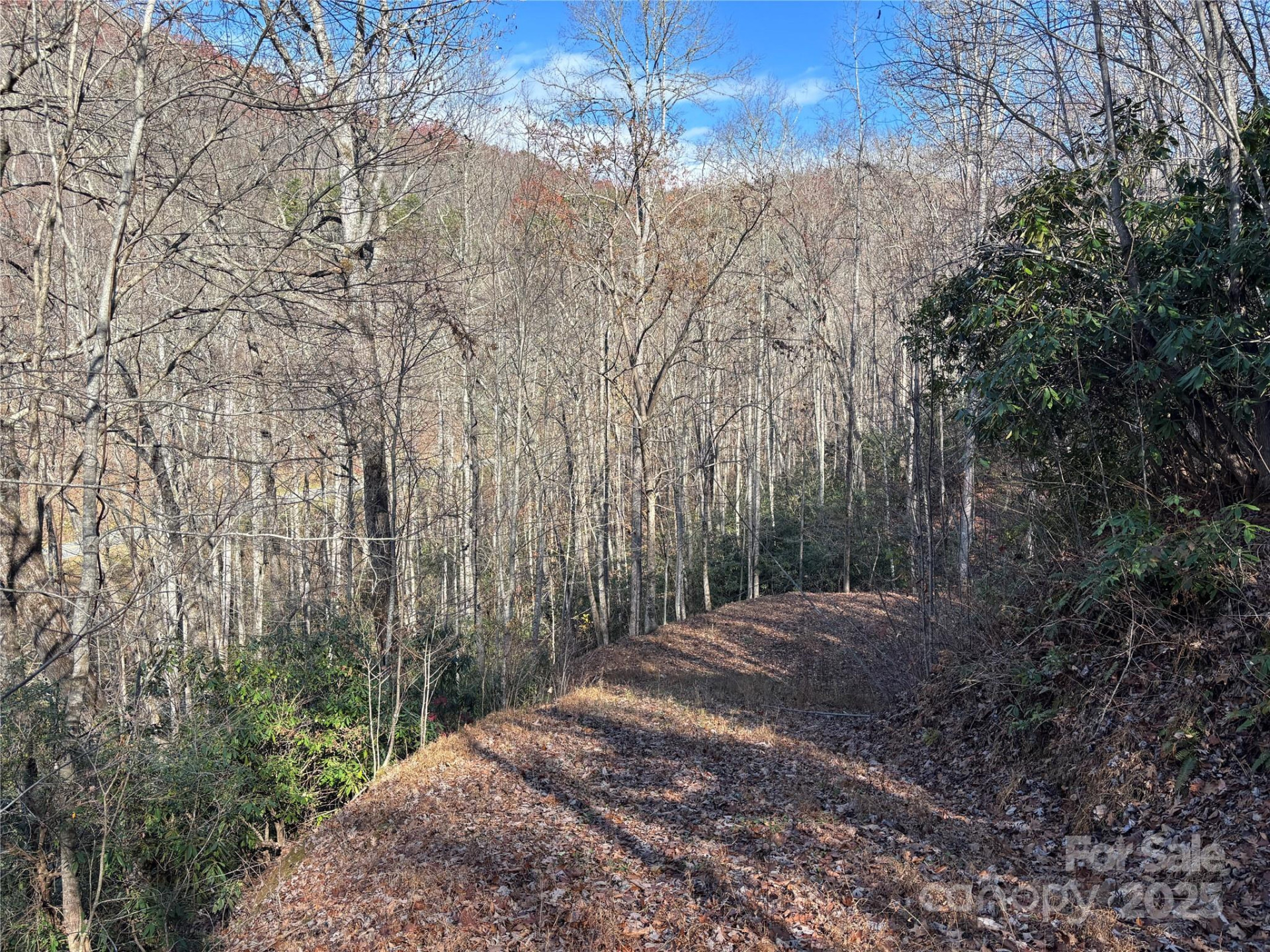 OFF Houston Farm Road - Photo 8