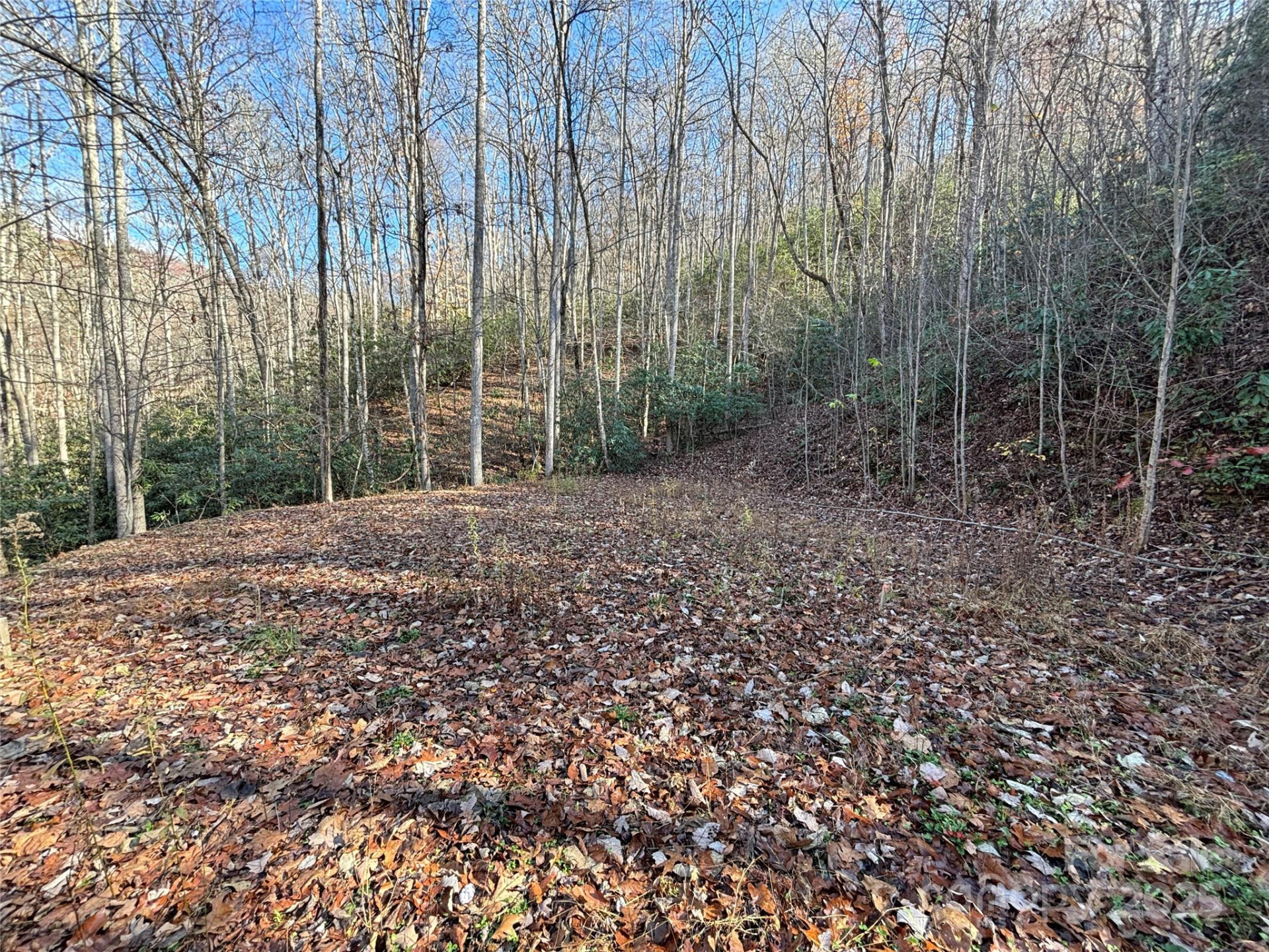 OFF Houston Farm Road - Photo 10