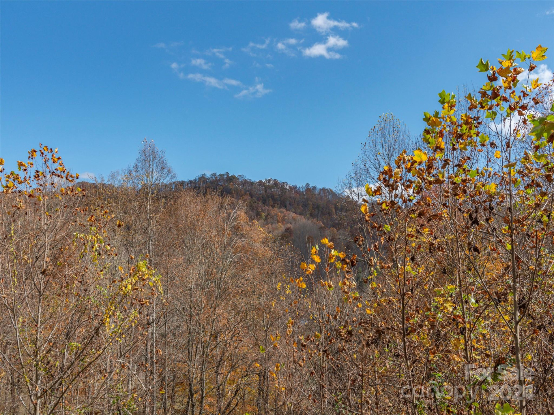 Lot 5 McNary Drive - Photo 11