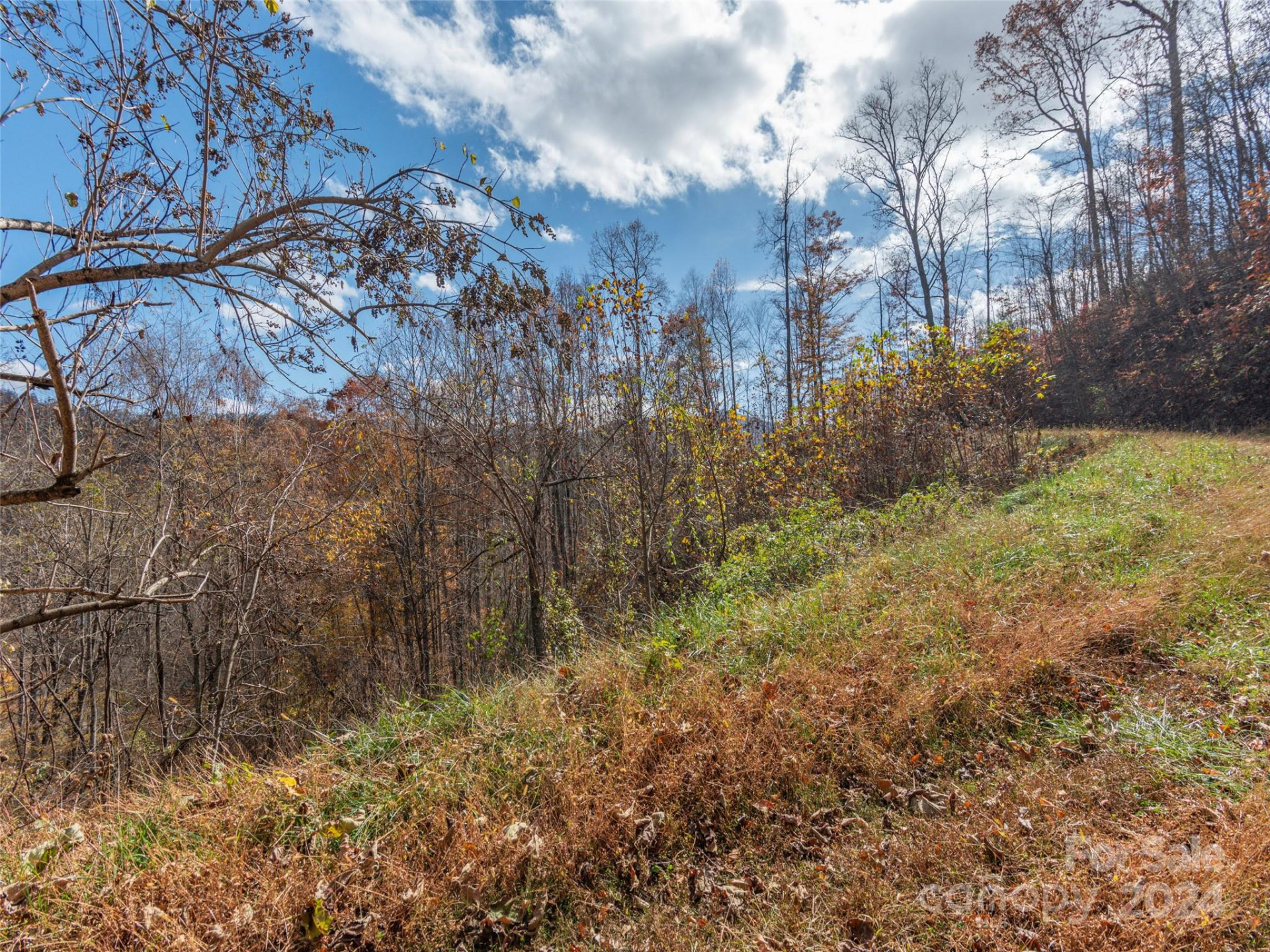 Lot 5 McNary Drive - Photo 3