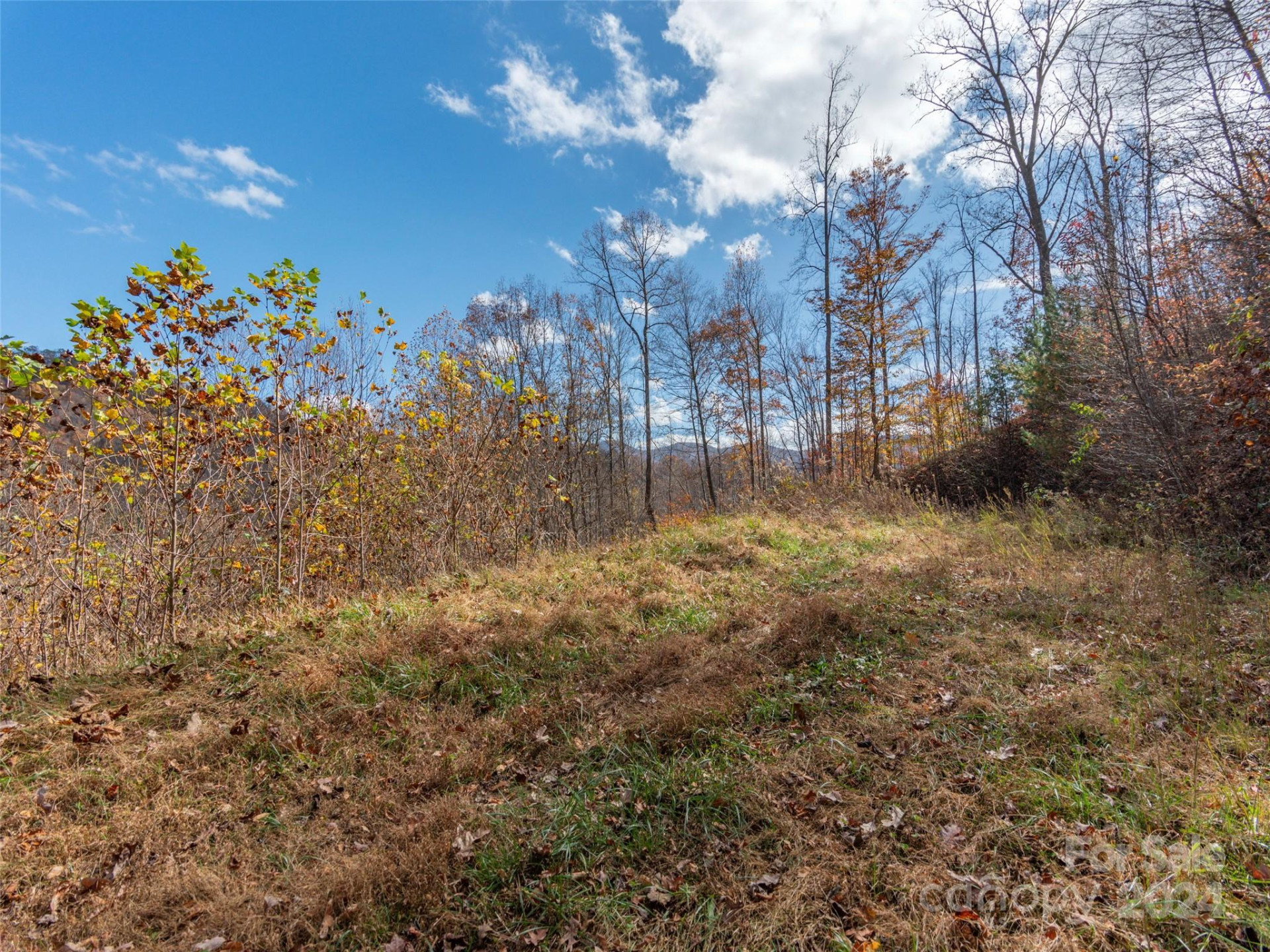 Lot 5 McNary Drive - Photo 4