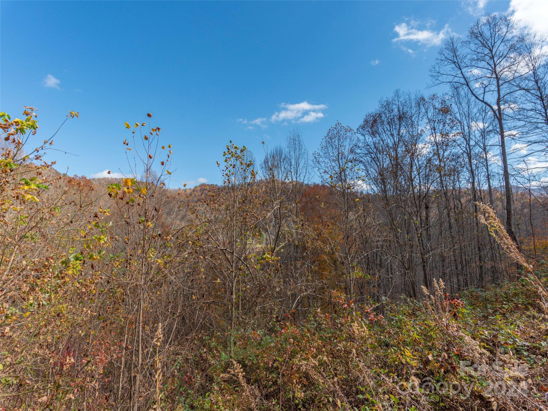 Lot 5 McNary Drive - Photo 5