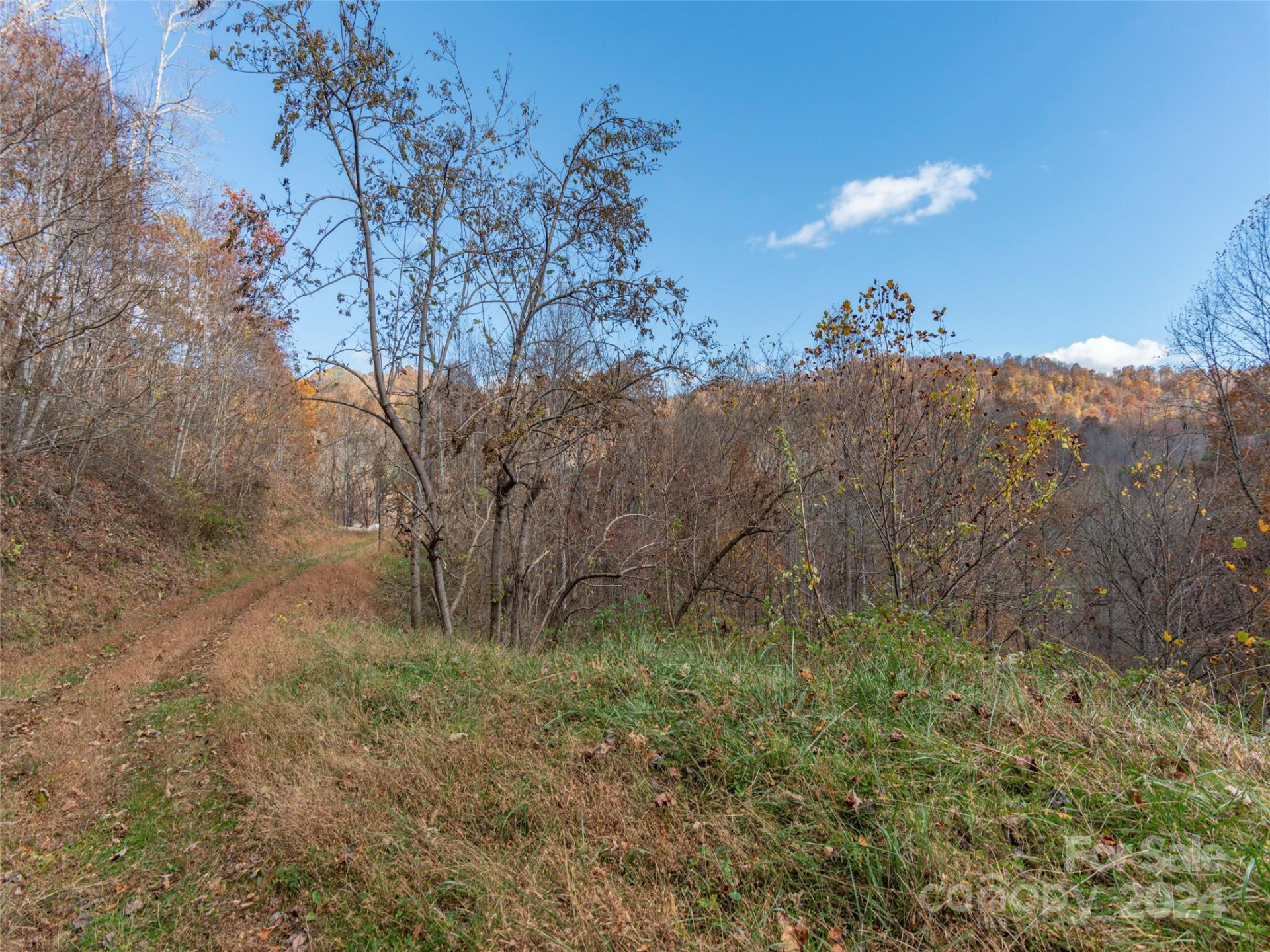 Lot 5 McNary Drive - Photo 7