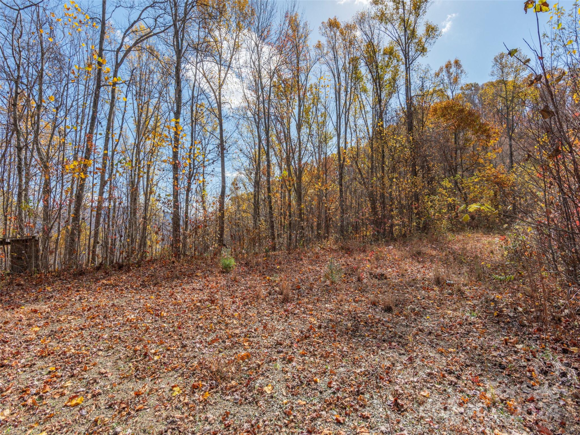 0 McNary Drive - Photo 2