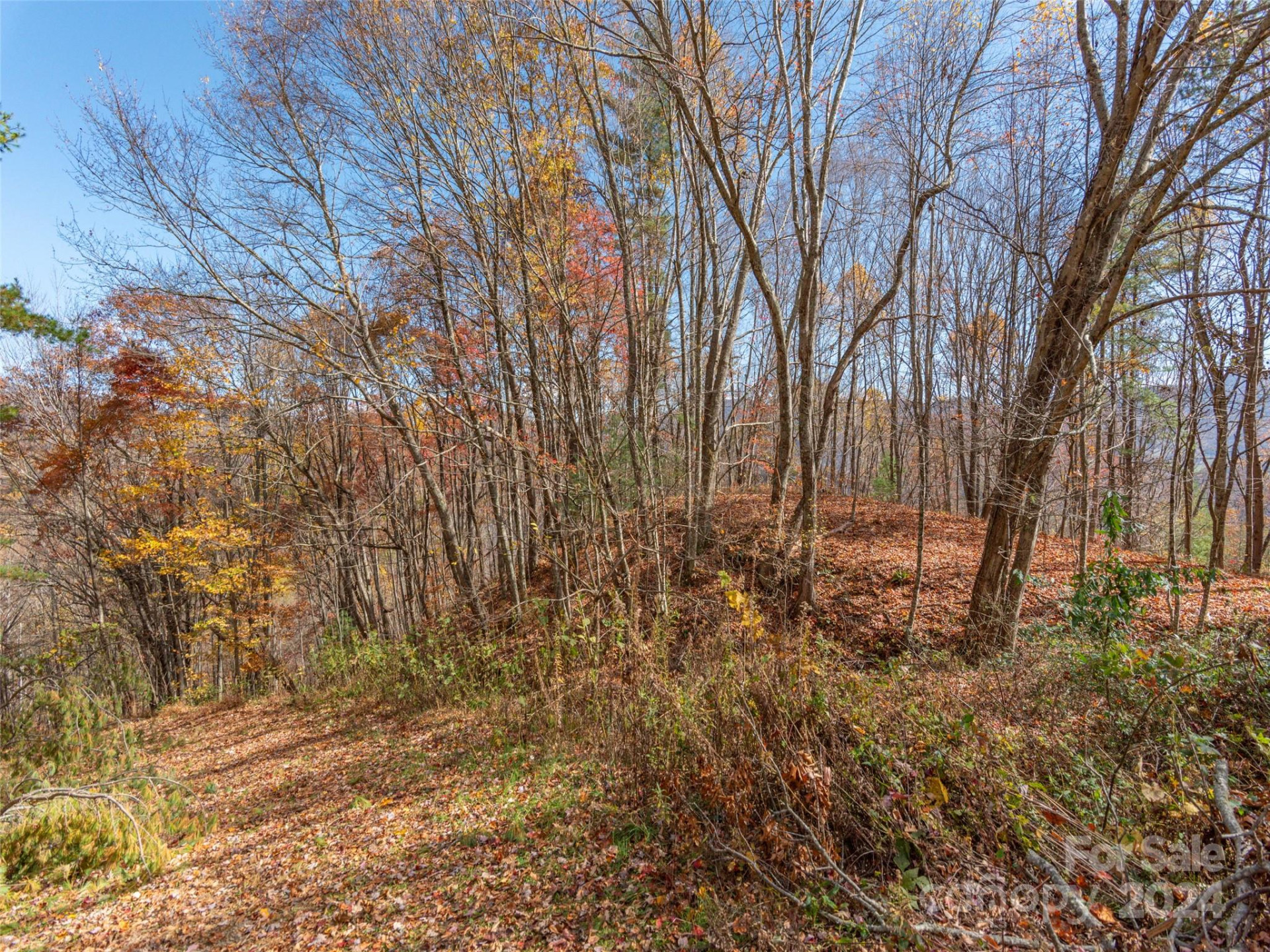 0 McNary Drive - Photo 3