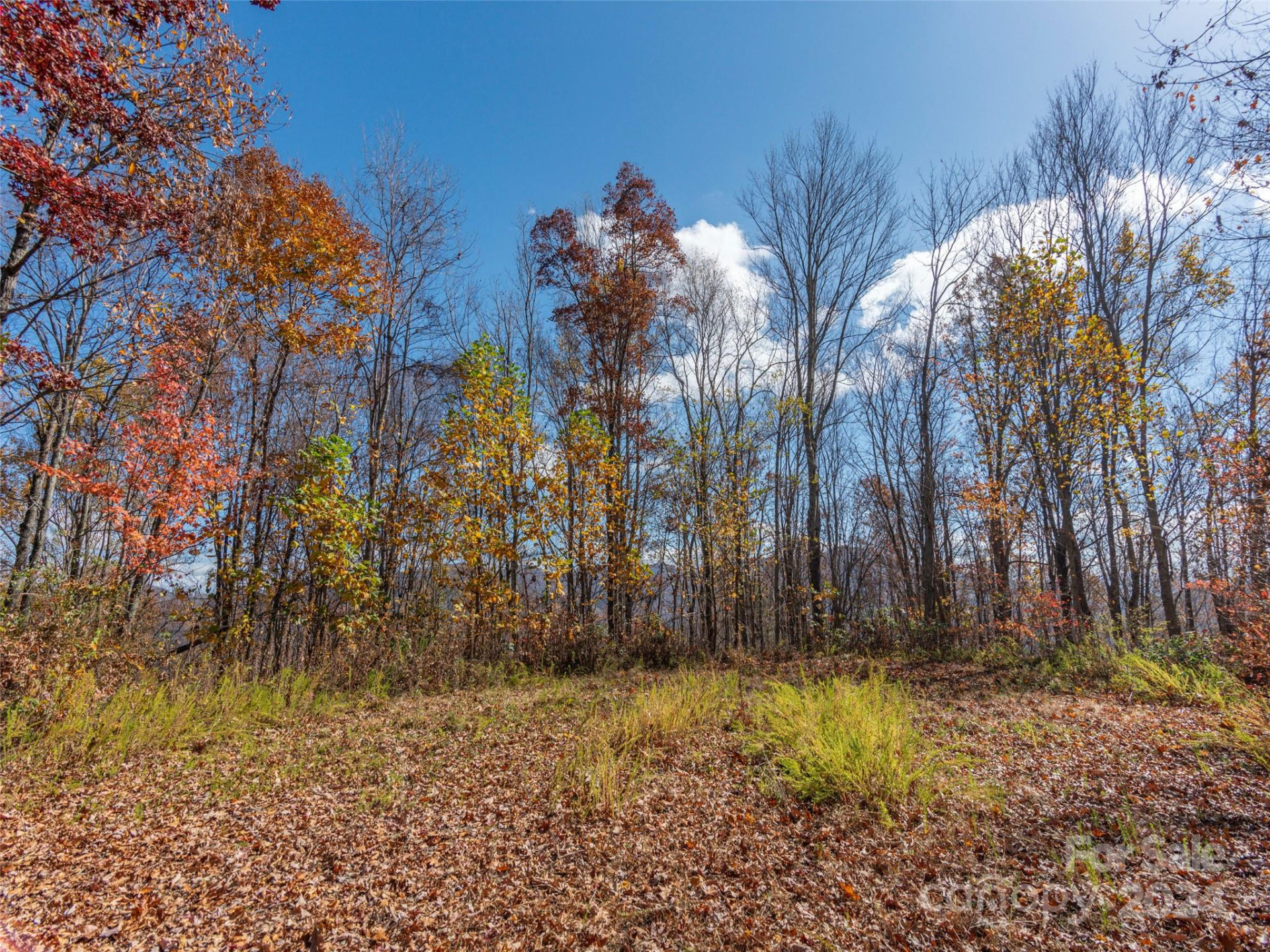 0 McNary Drive - Photo 4