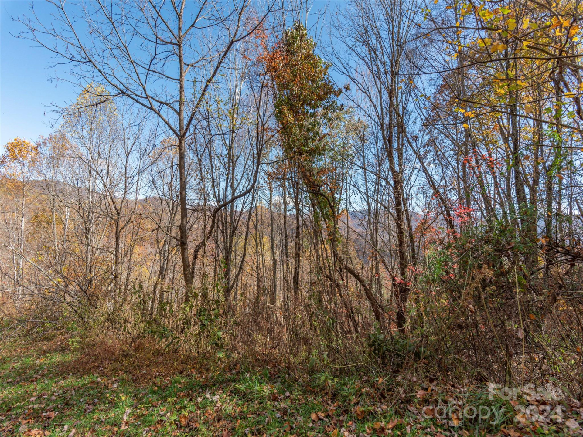 0 McNary Drive - Photo 5