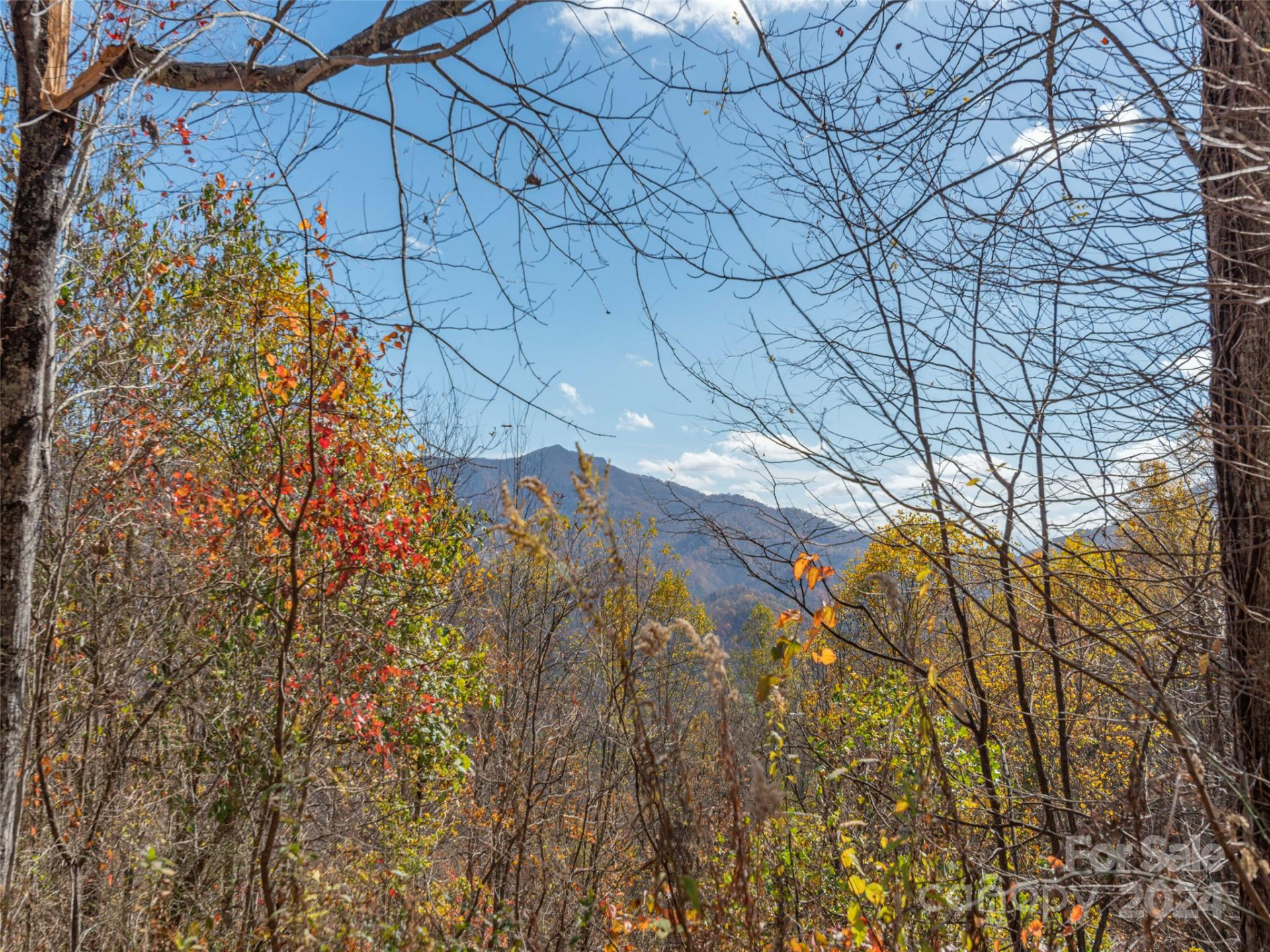 0 McNary Drive - Photo 6