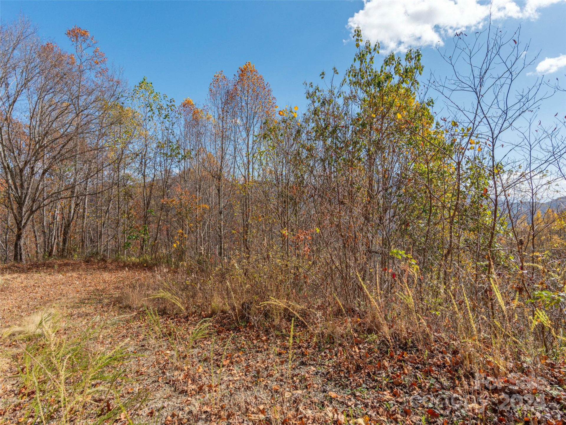 0 McNary Drive - Photo 7