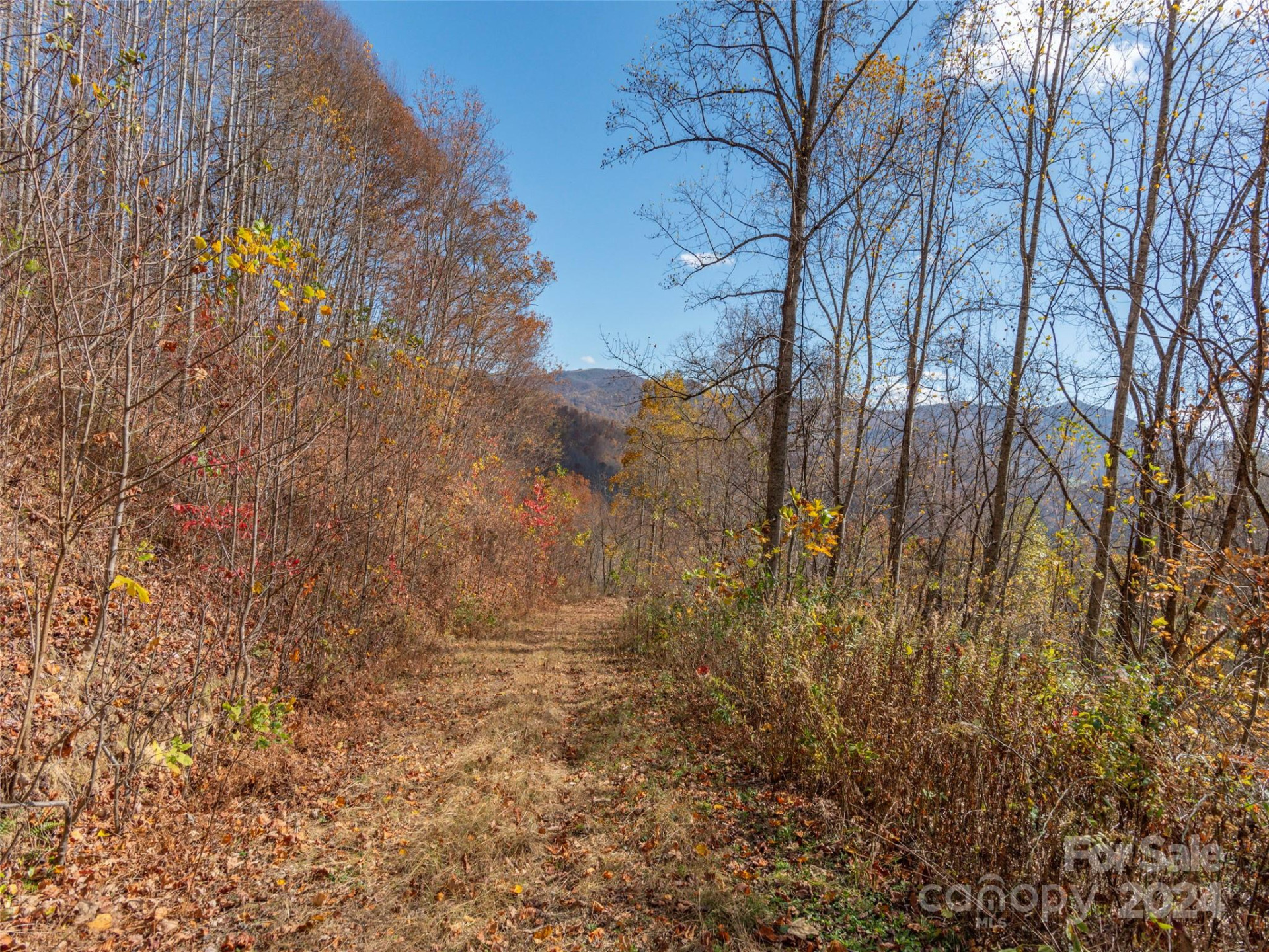 0 McNary Drive - Photo 8