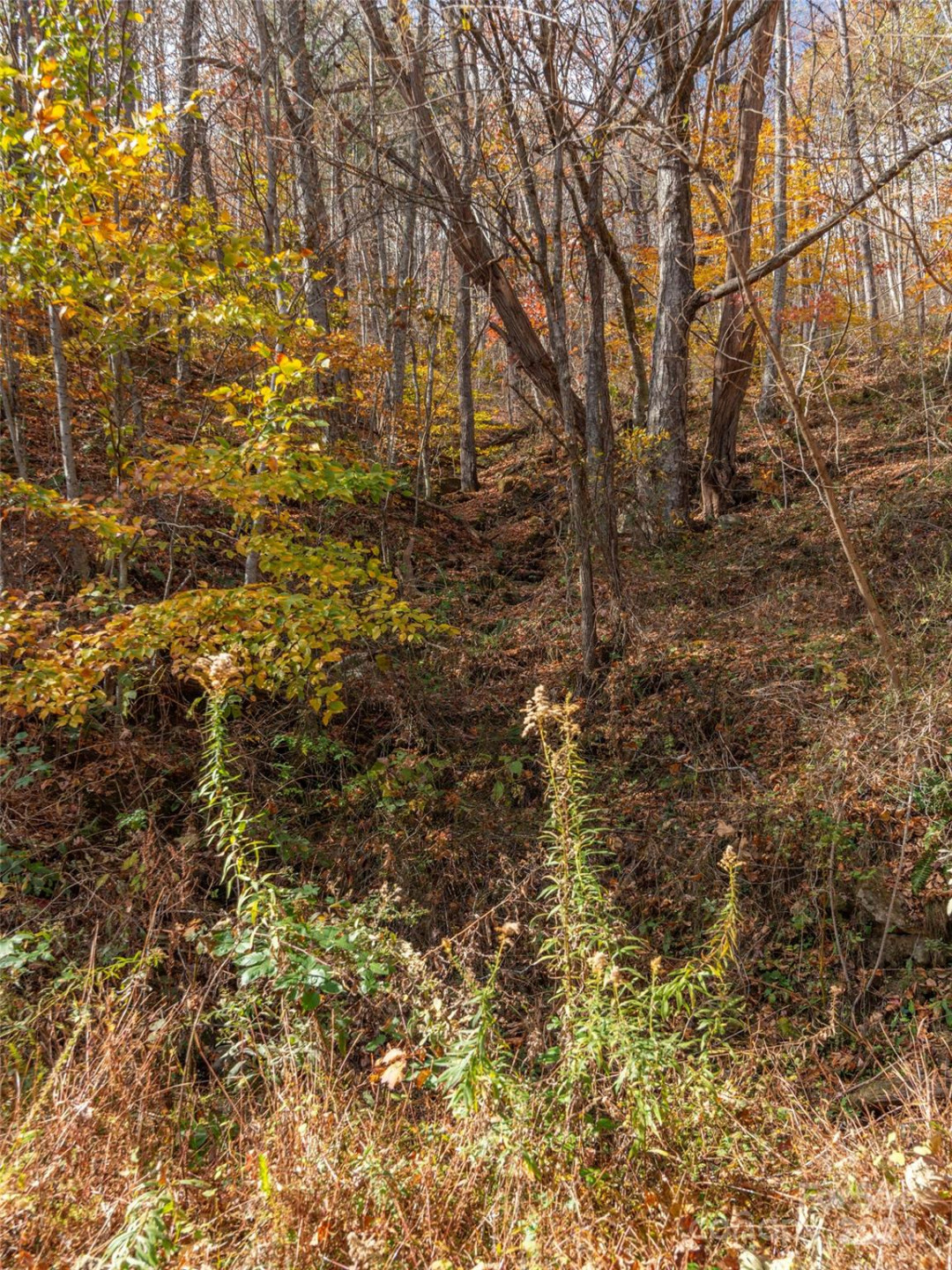 0 McNary Drive - Photo 9