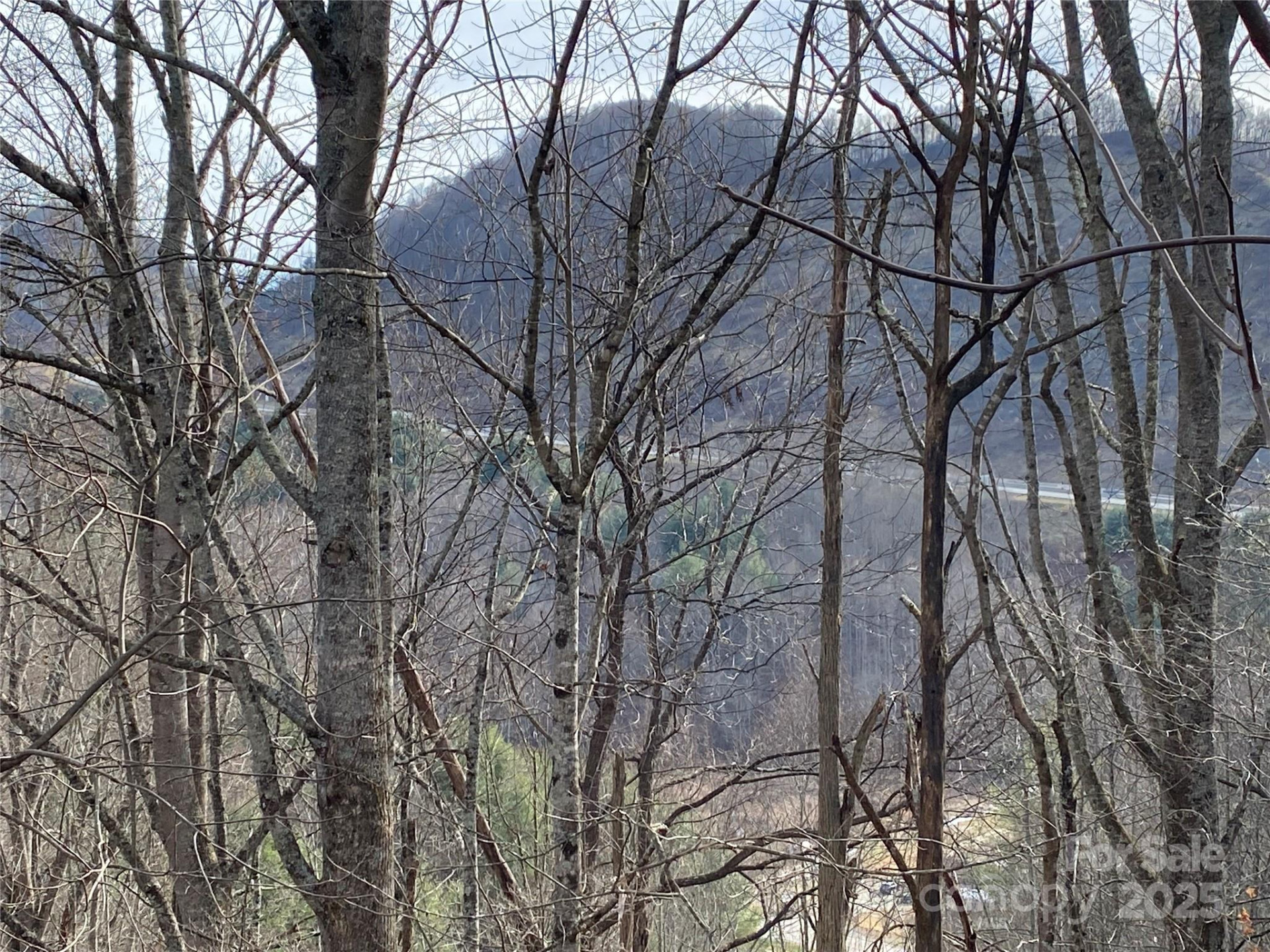 99999 US 23 Highway - Photo 12