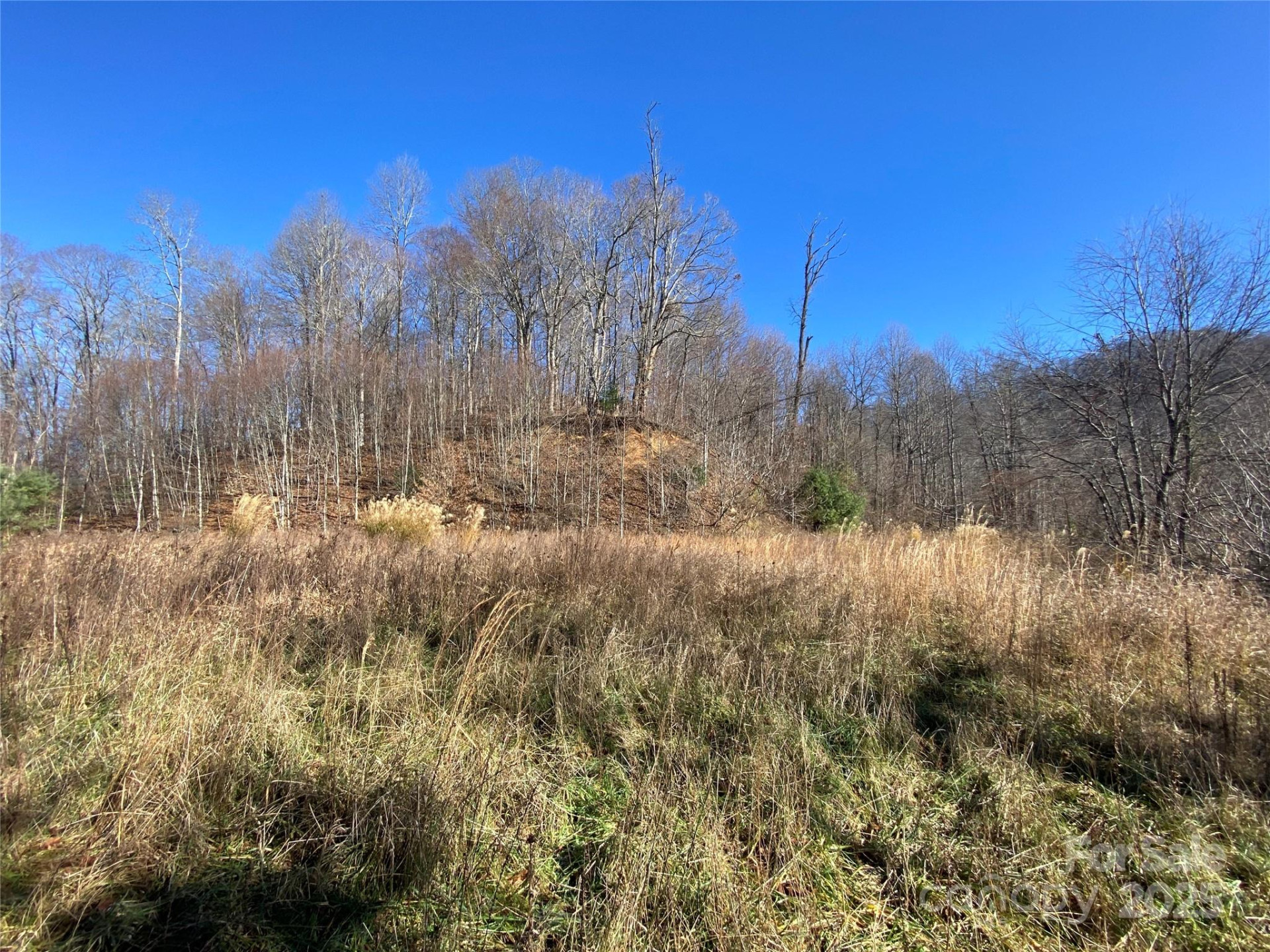 99999 US 23 Highway - Photo 4