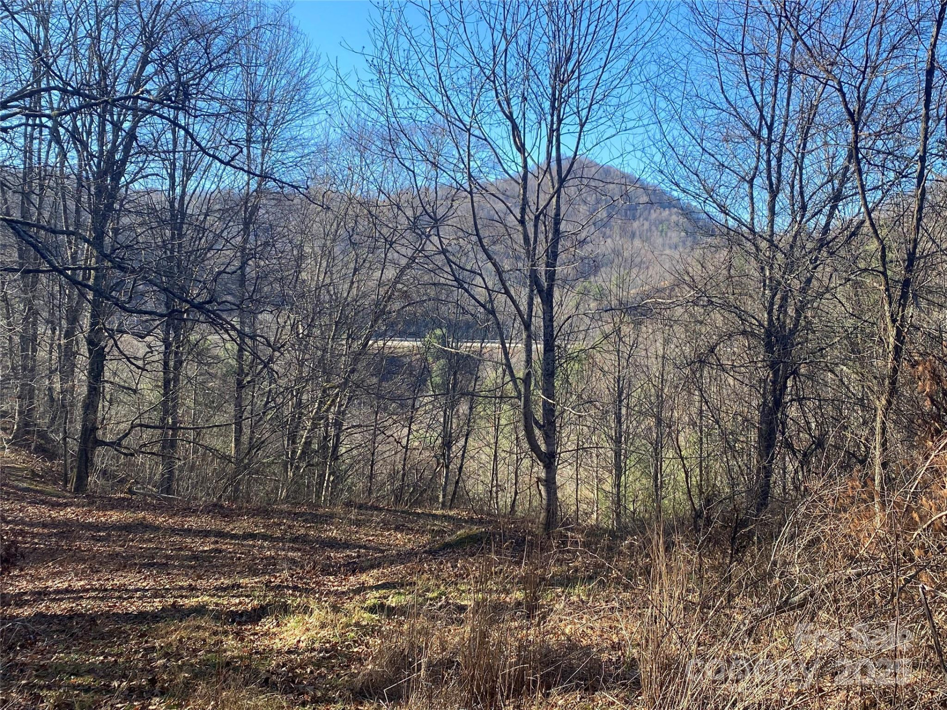 99999 US 23 Highway - Photo 5