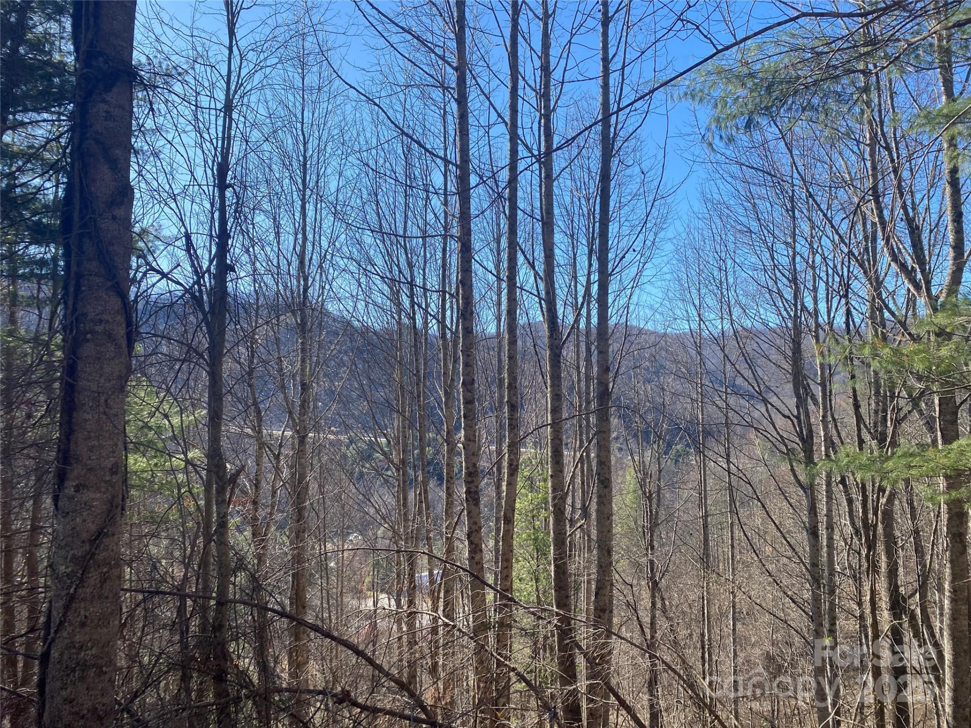 99999 US 23 Highway - Photo 6