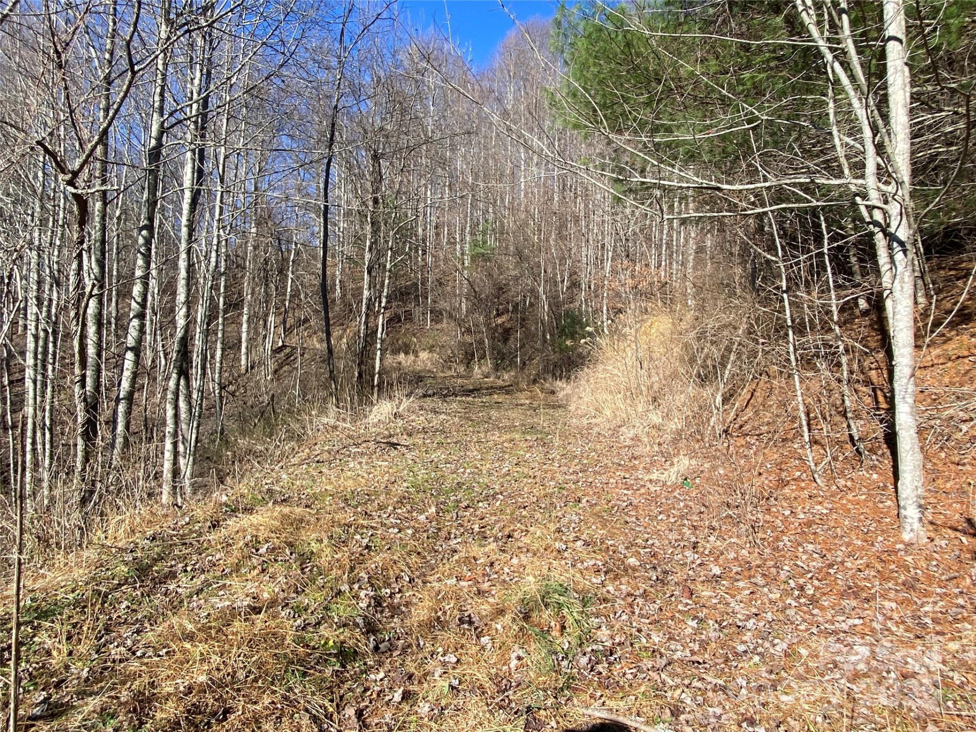 99999 US 23 Highway - Photo 7