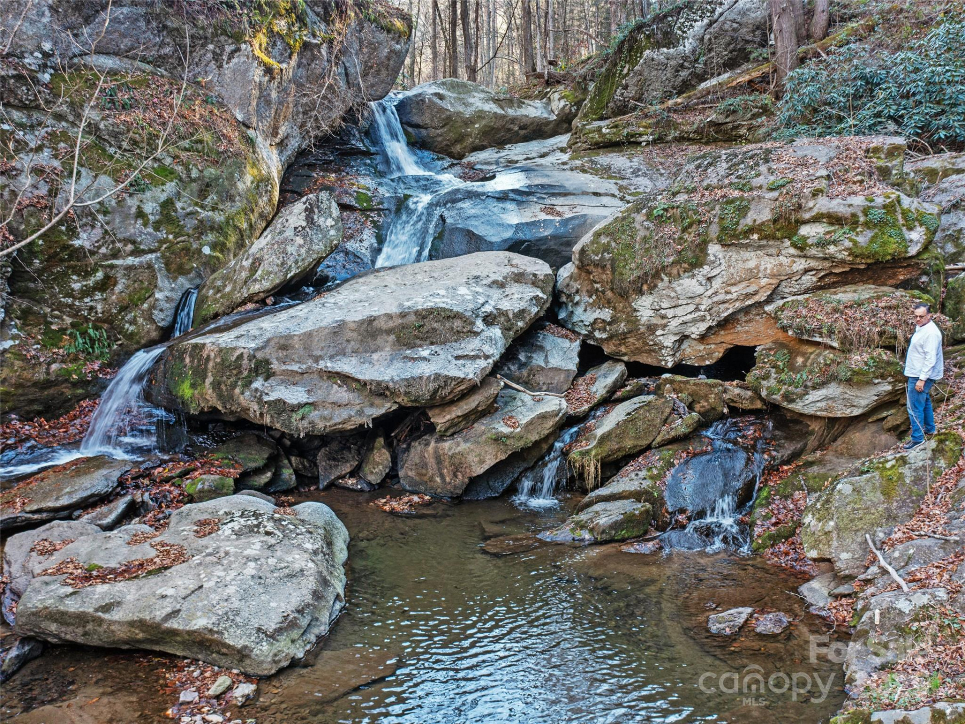 23 Katies Road #145.95 acres - Photo 2